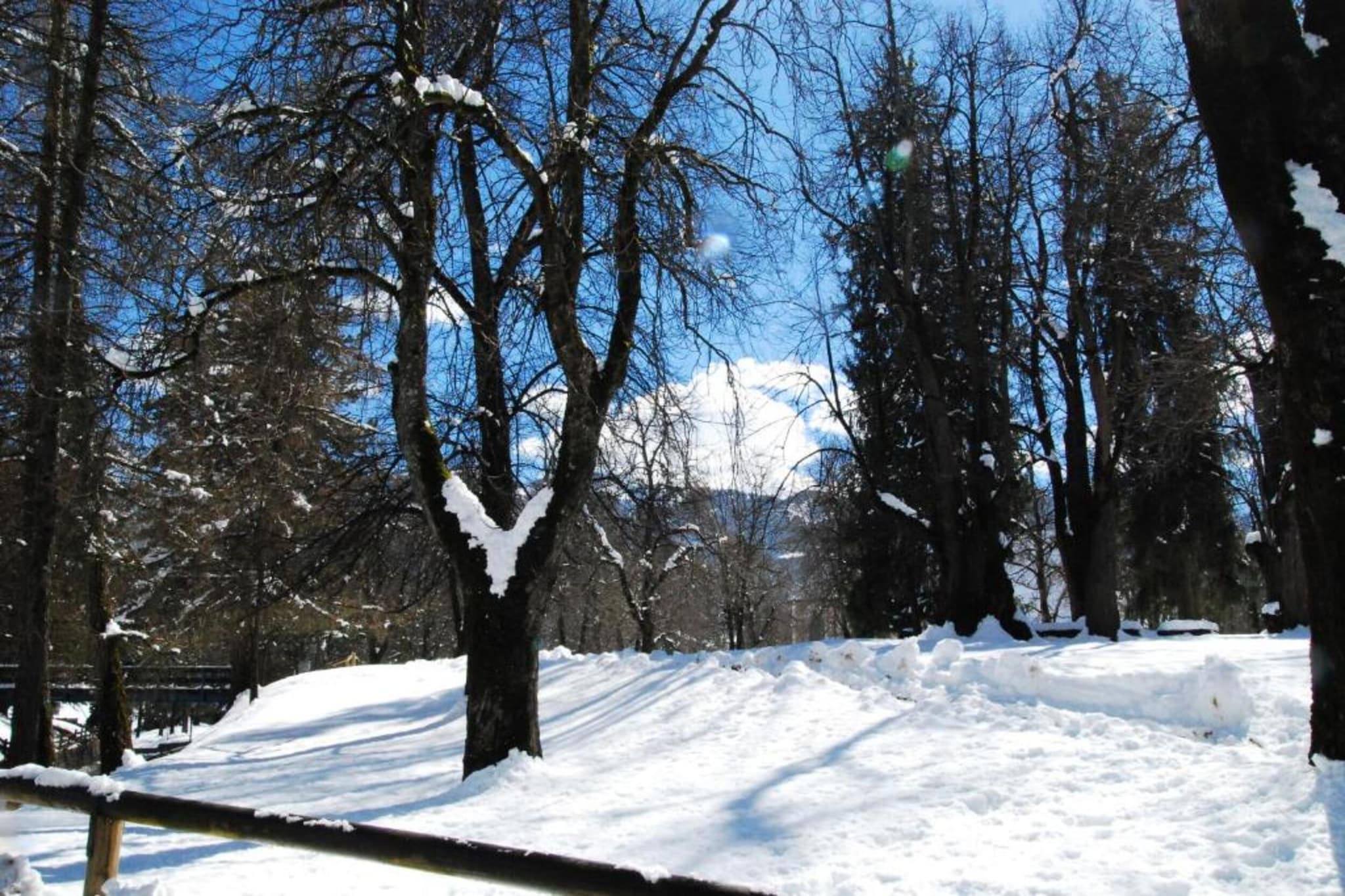 Le Plejadi Trilo-Gebied winter 20km