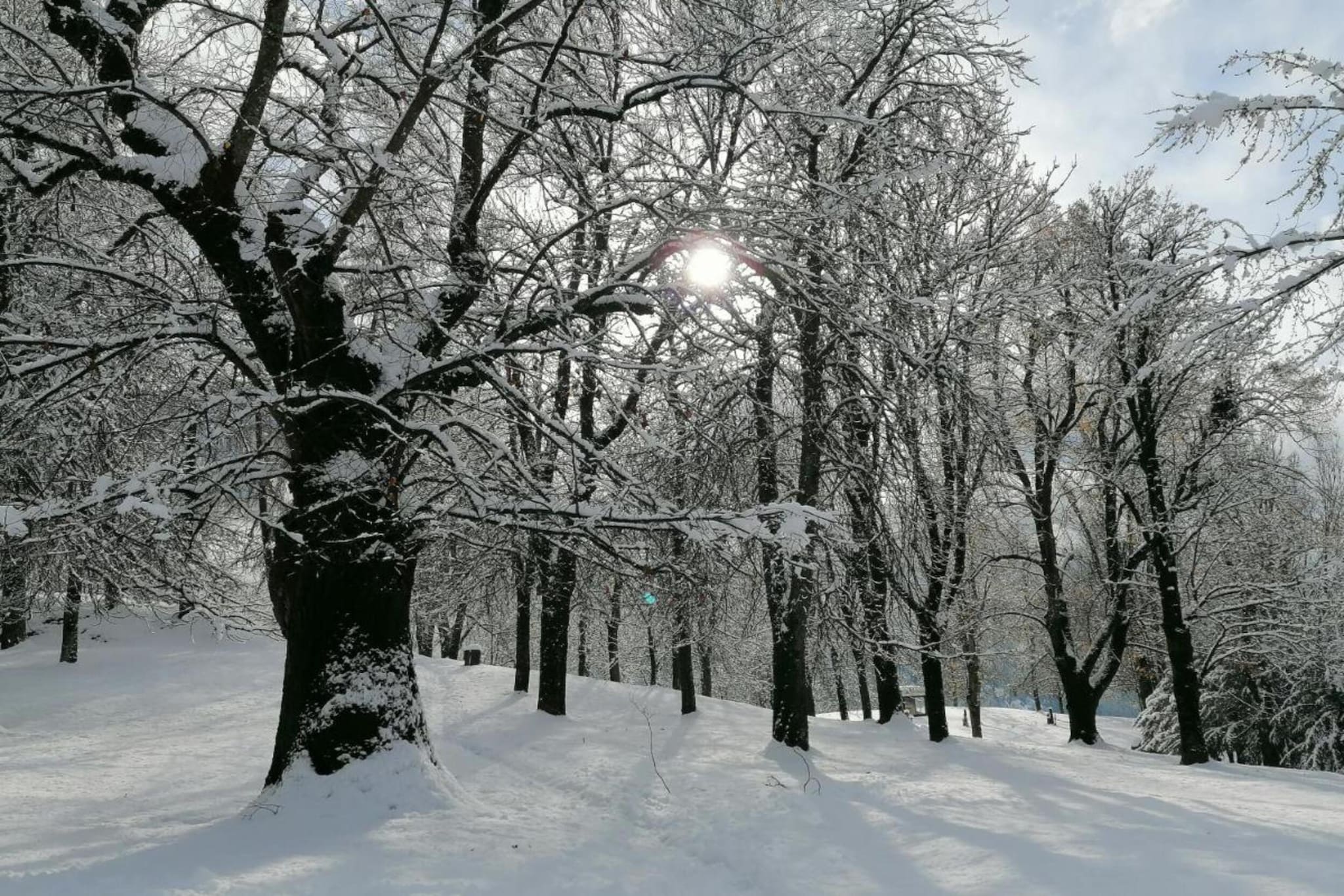 Le Plejadi Trilo-Gebied winter 20km
