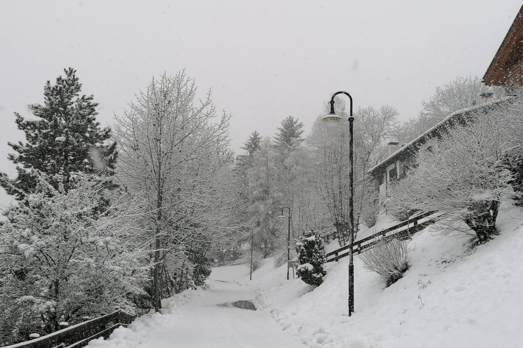 Le Plejadi Quadri Otto-Gebied winter 20km
