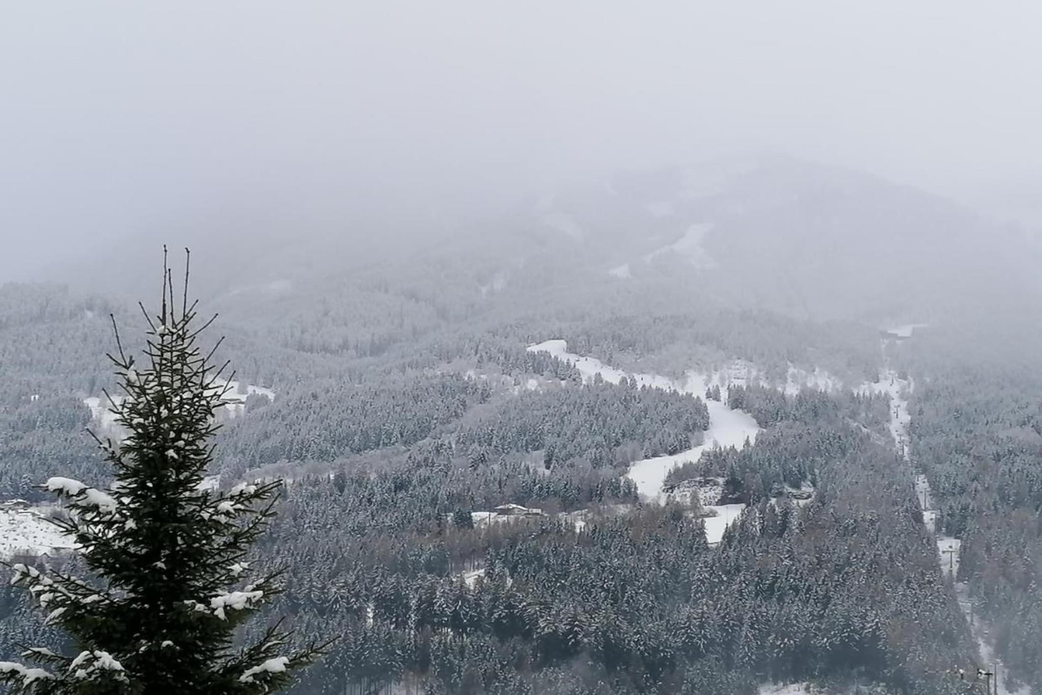 Negritella Trilo Sei-Gebied winter 20km
