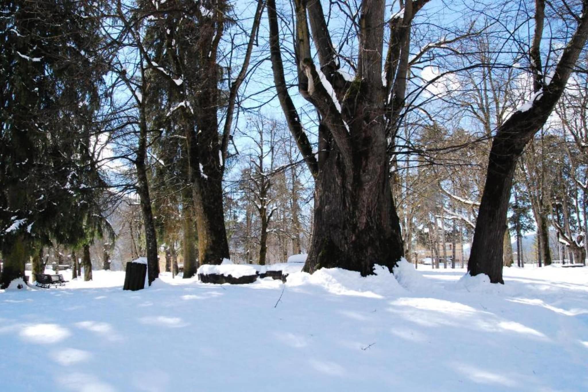 Negritella Quadri Sette-Gebied winter 20km