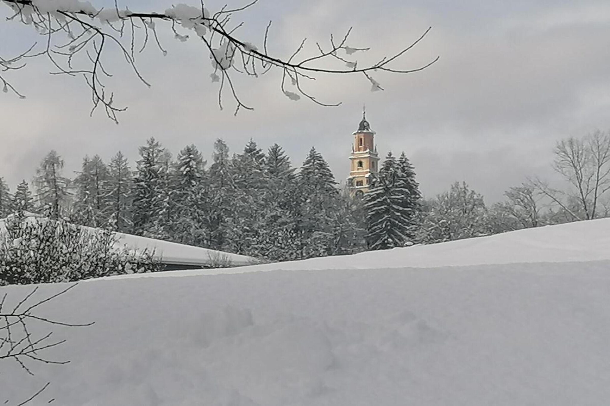 Negritella Quadri Sette-Gebied winter 20km