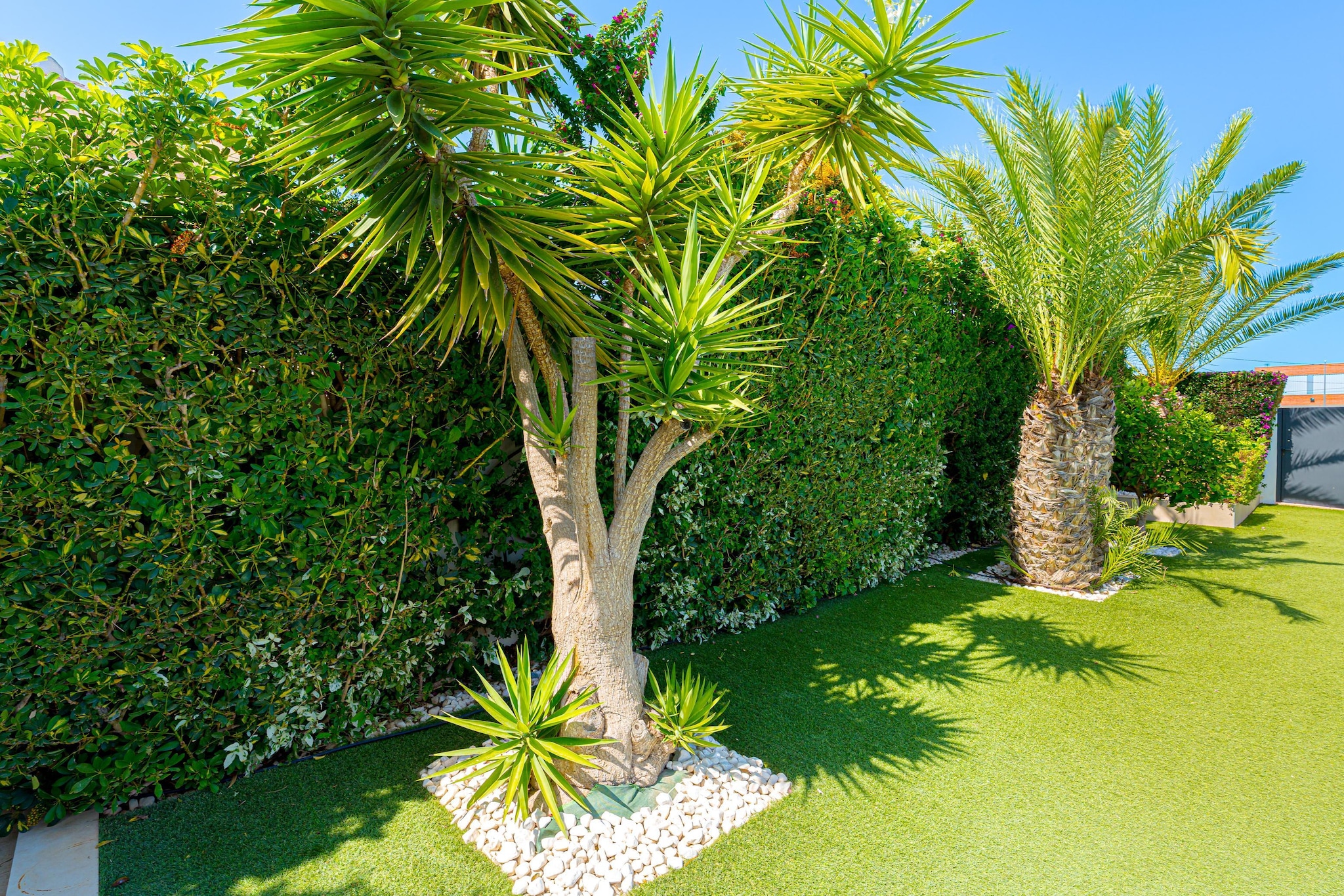 Villa Torremendo - Jardins en été