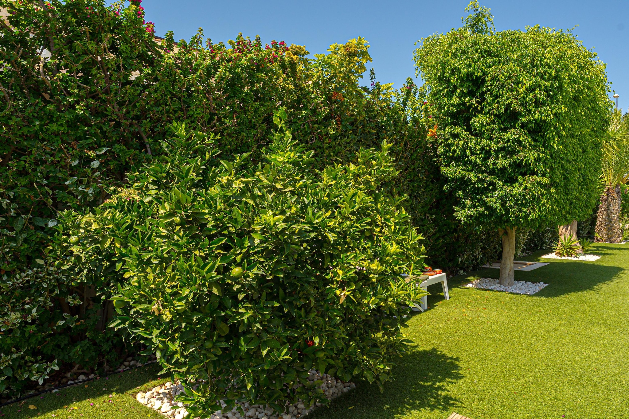 Villa Torremendo - Jardins en été