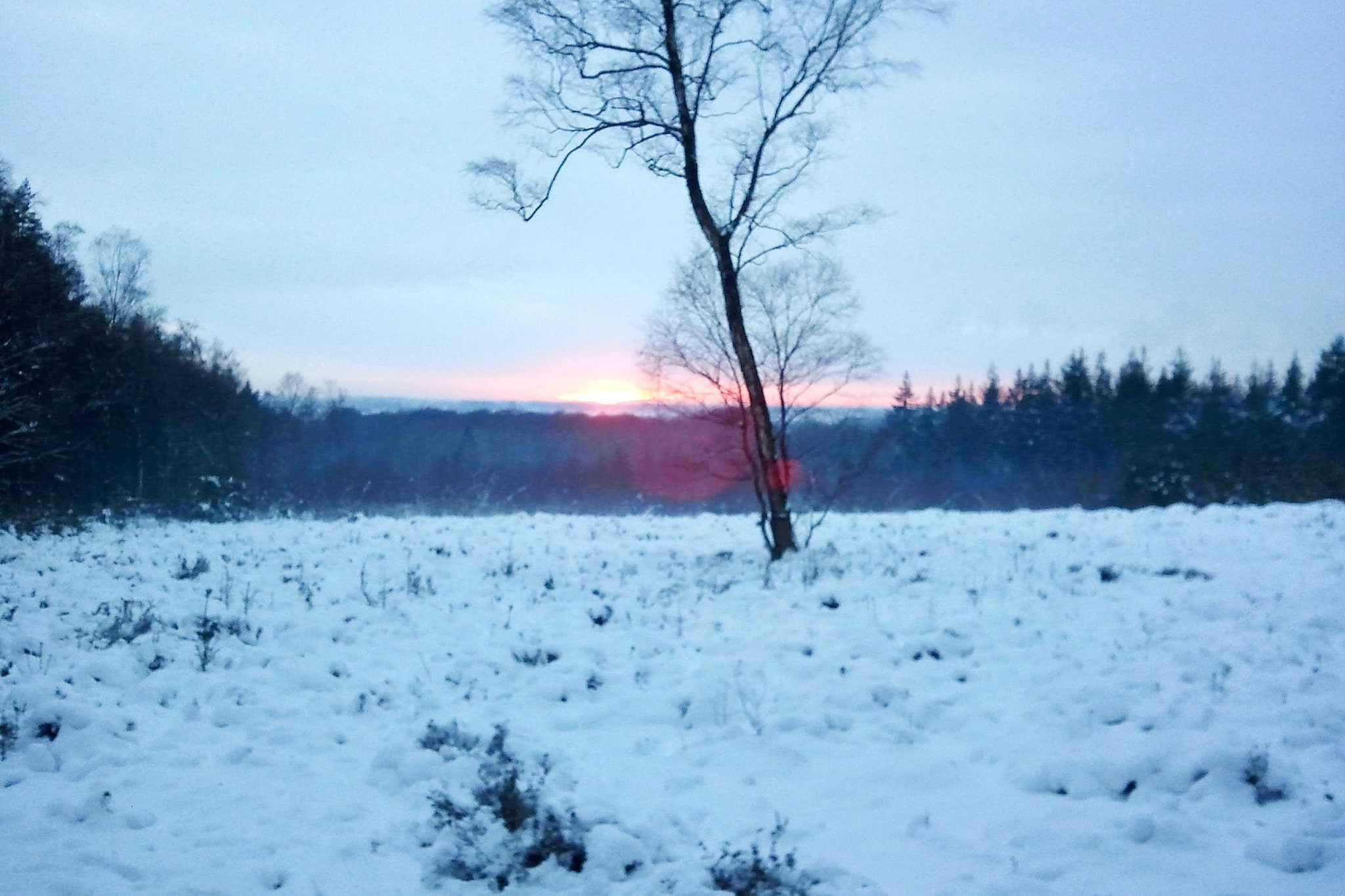 Vakantiepark de Tabaksschuur 2-Gebied winter 1km