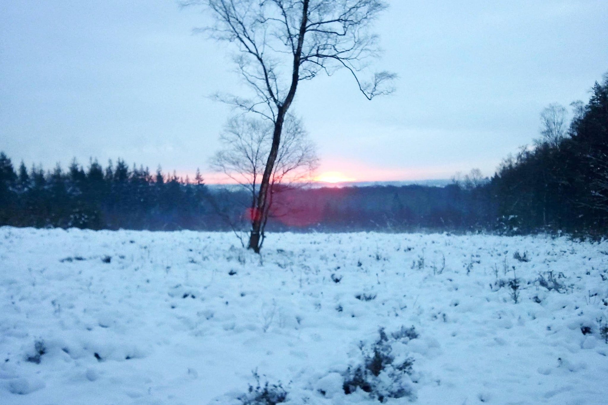 Vakantiepark de Tabaksschuur 2-Gebied winter 1km