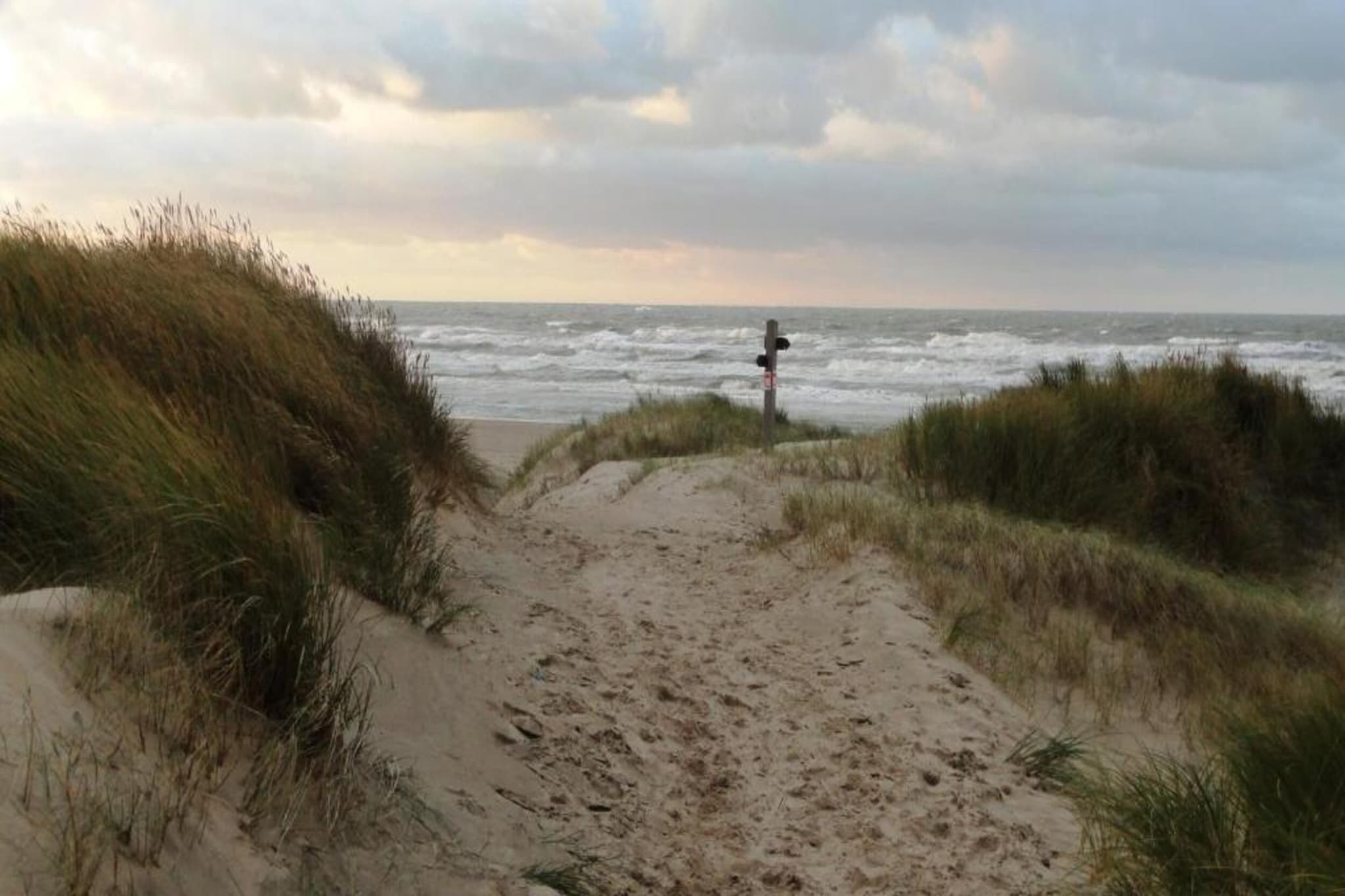 Etoile de Mer 2-Gebieden zomer 1km