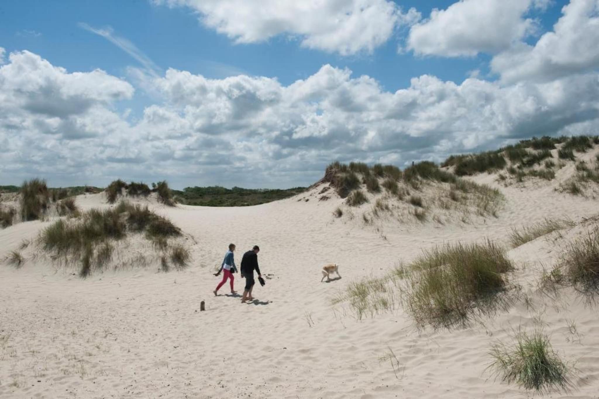 Residence Bray-Dunes Margats 2