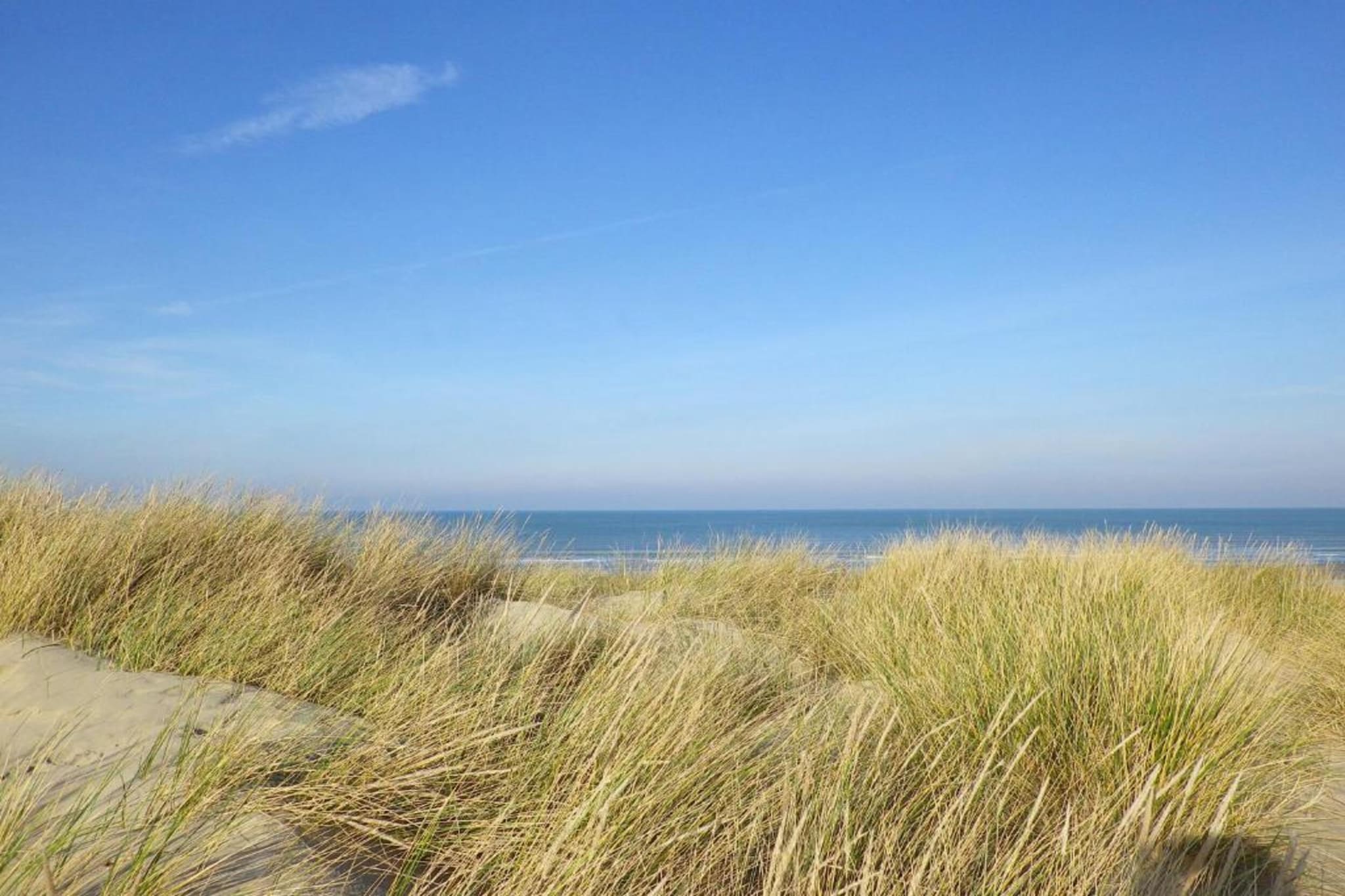 Residence Bray-Dunes Margats 2-Gebieden zomer 1km