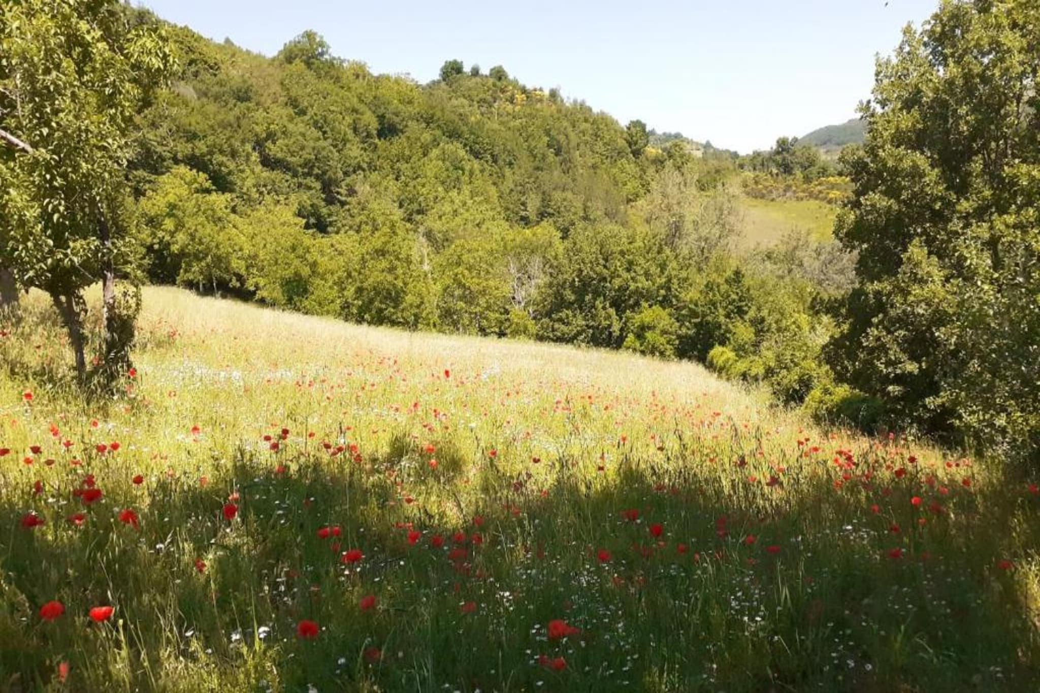 Villa Valtopina-Gebieden zomer 5km