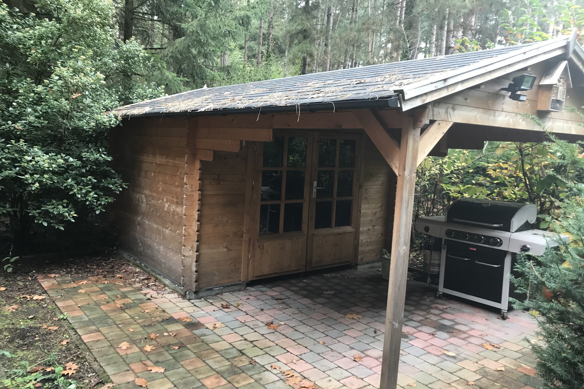 Vakantiehuis Nijlen max. 4 personen 5 huisdieren 1 slaapkamer #21