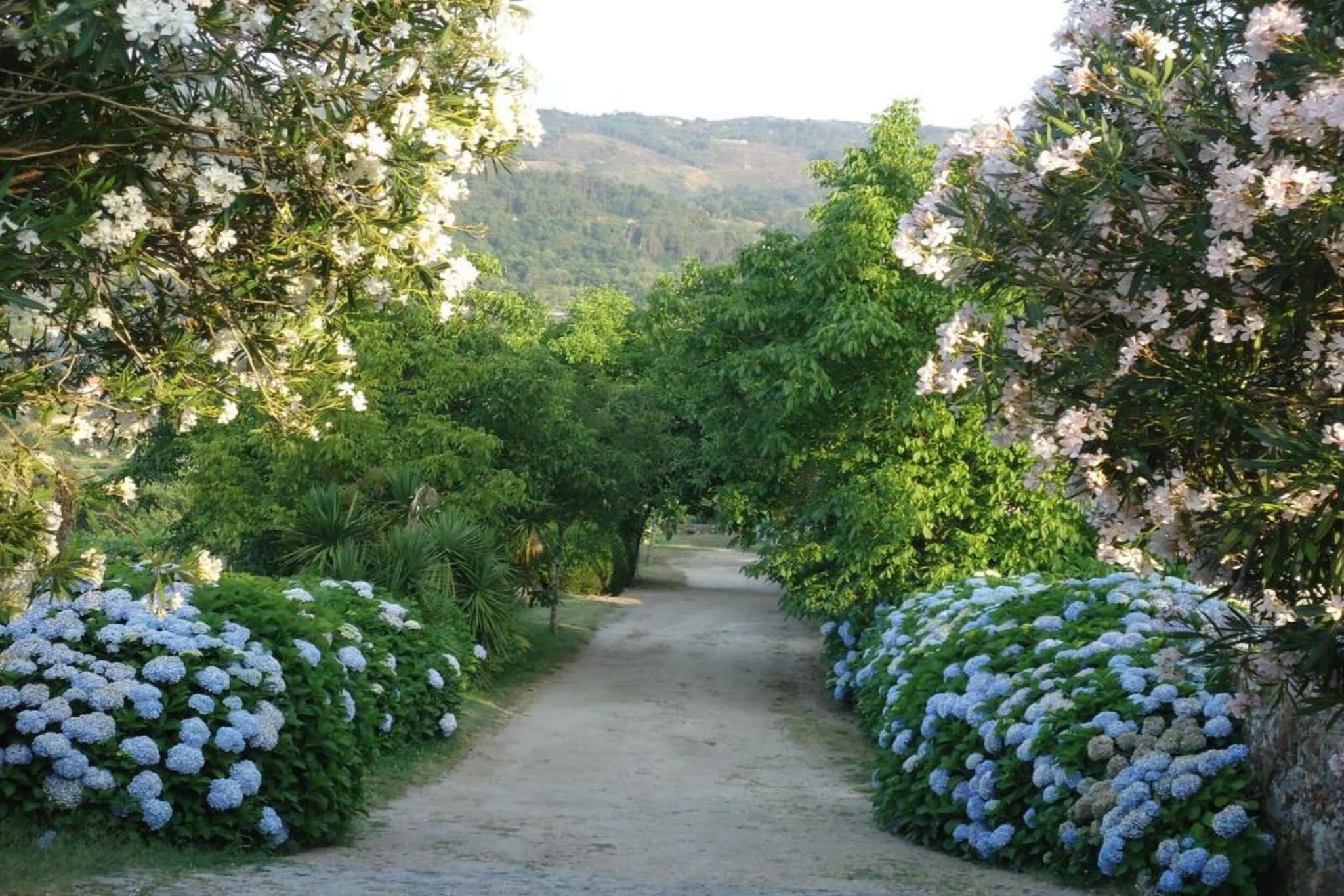 Casa do Tanque-Gebiete Sommer 20 km