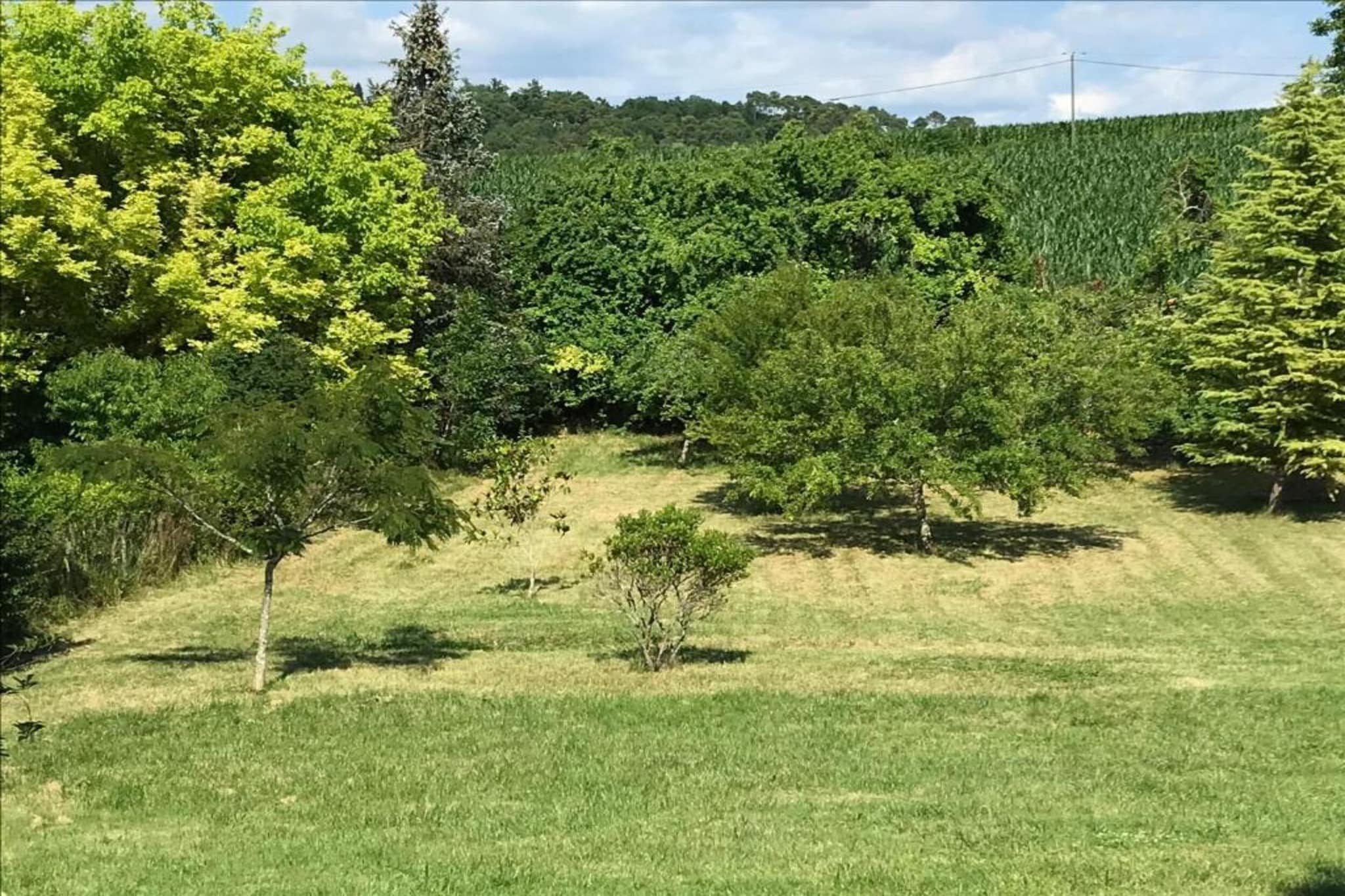 Les Coquelicots-Zones d'été à 20 km