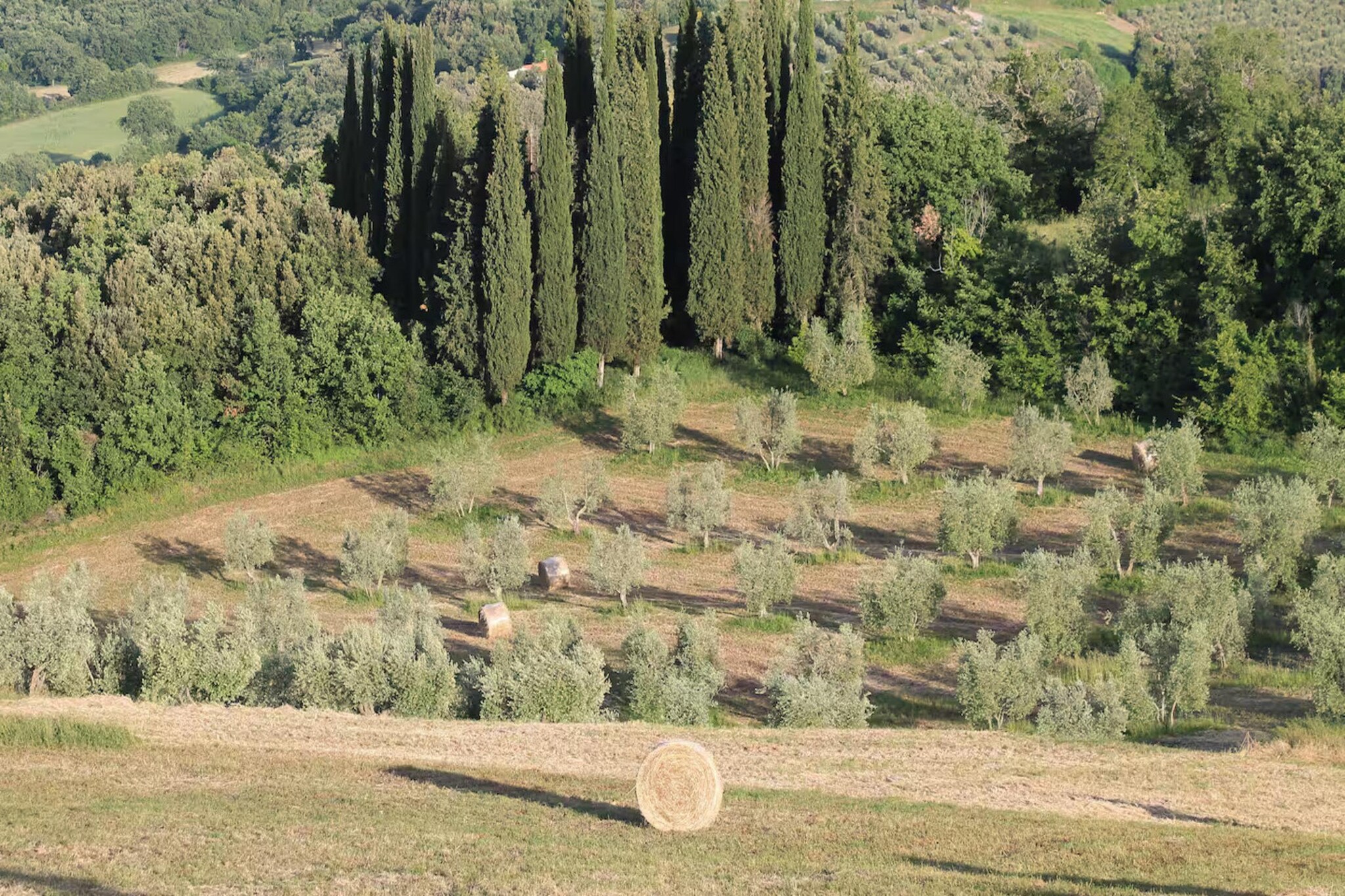 Mandorlo-Areas summer 20km