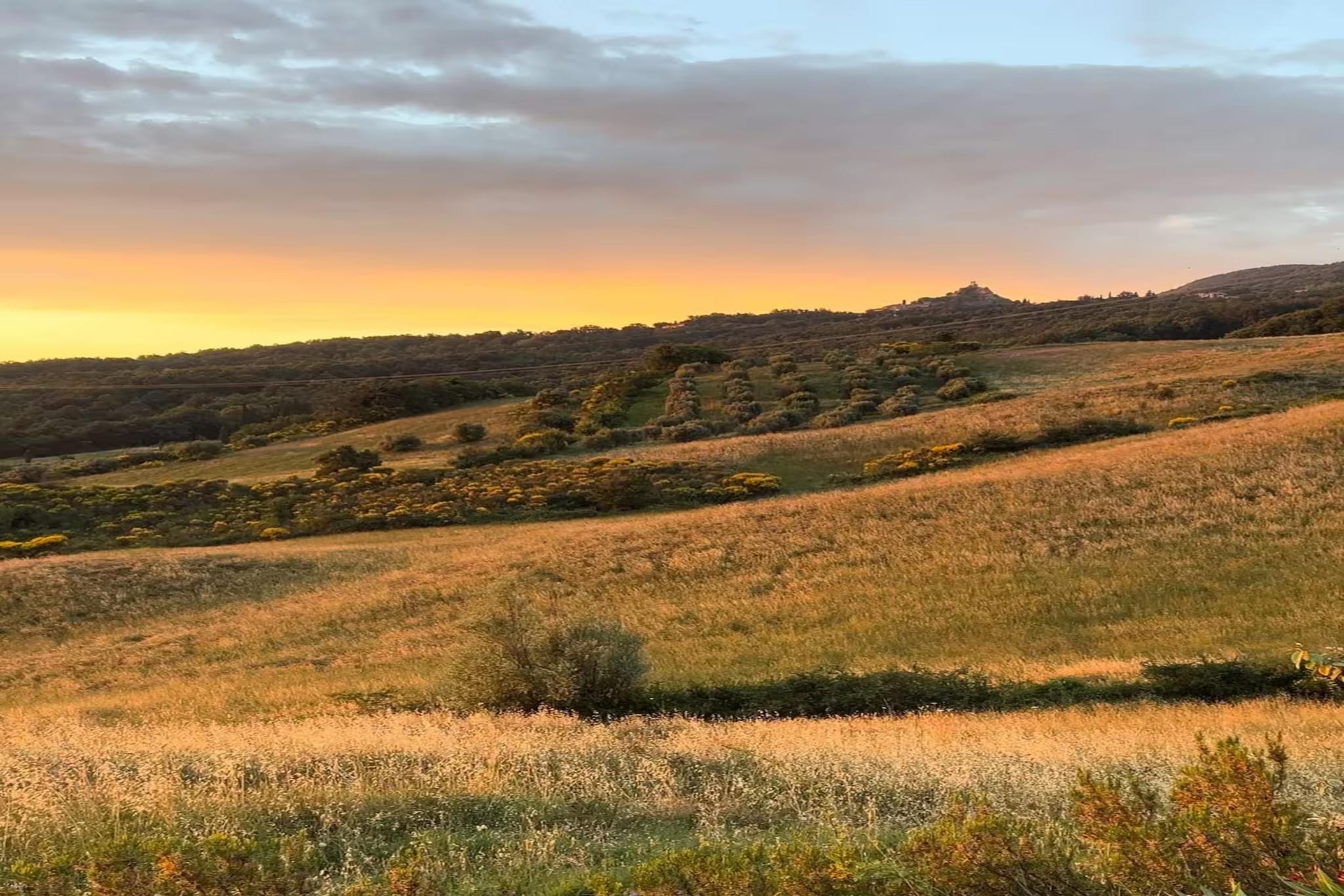 Mandorlo-Areas summer 20km