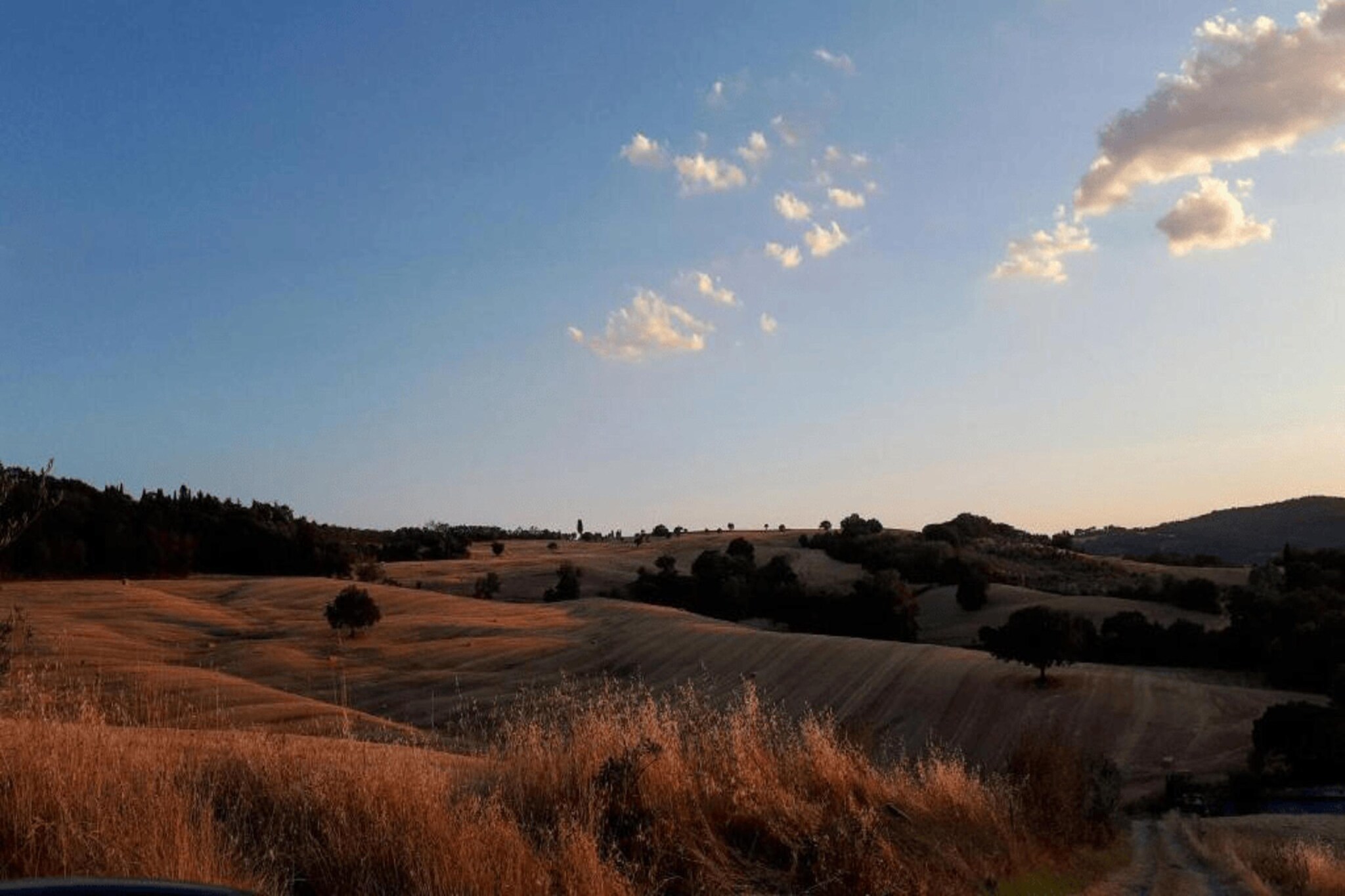 Mandorlo-Areas summer 20km