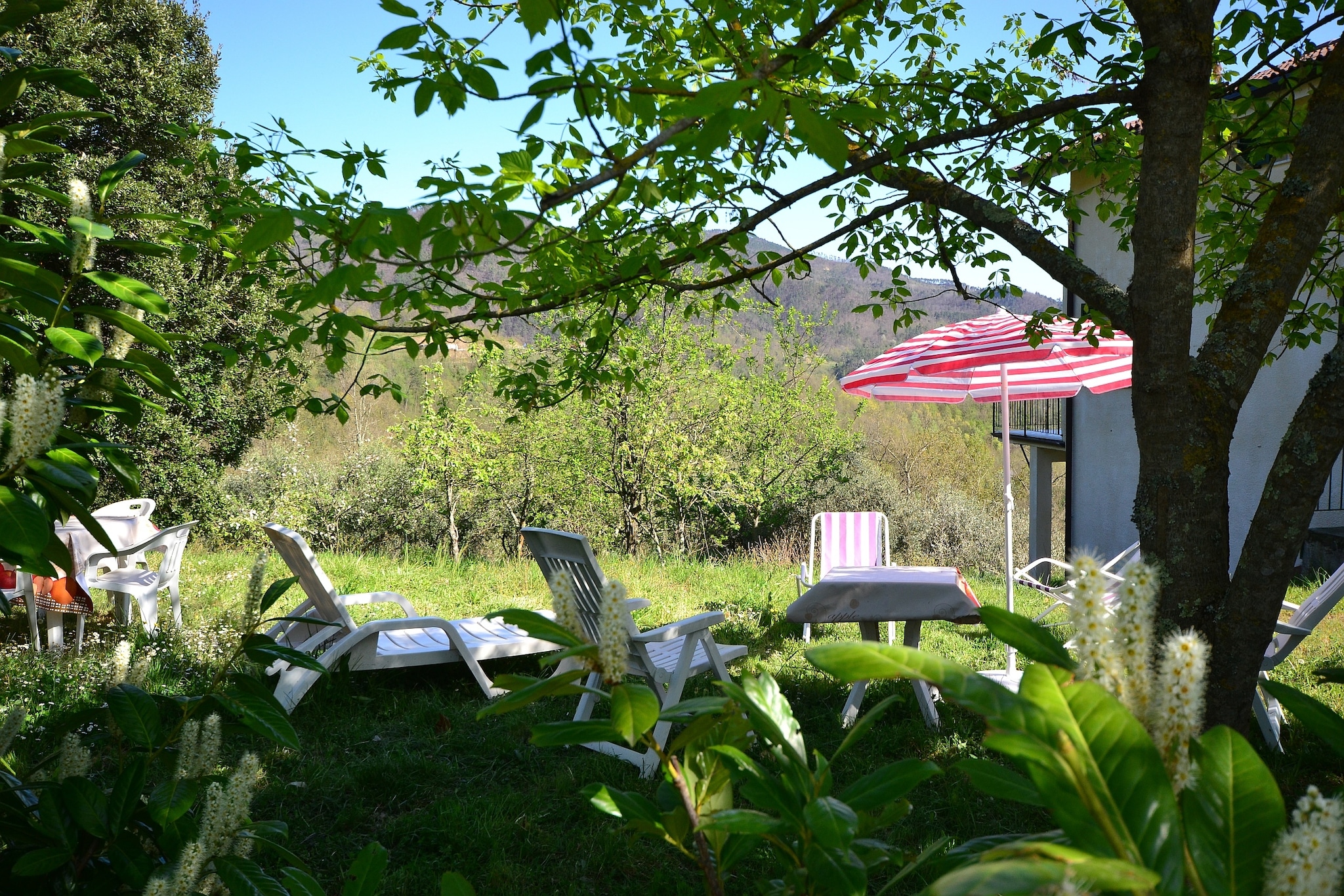 Midden in natuur gelegen ruime vakantiewoning bestaande uit 2 appartementen.