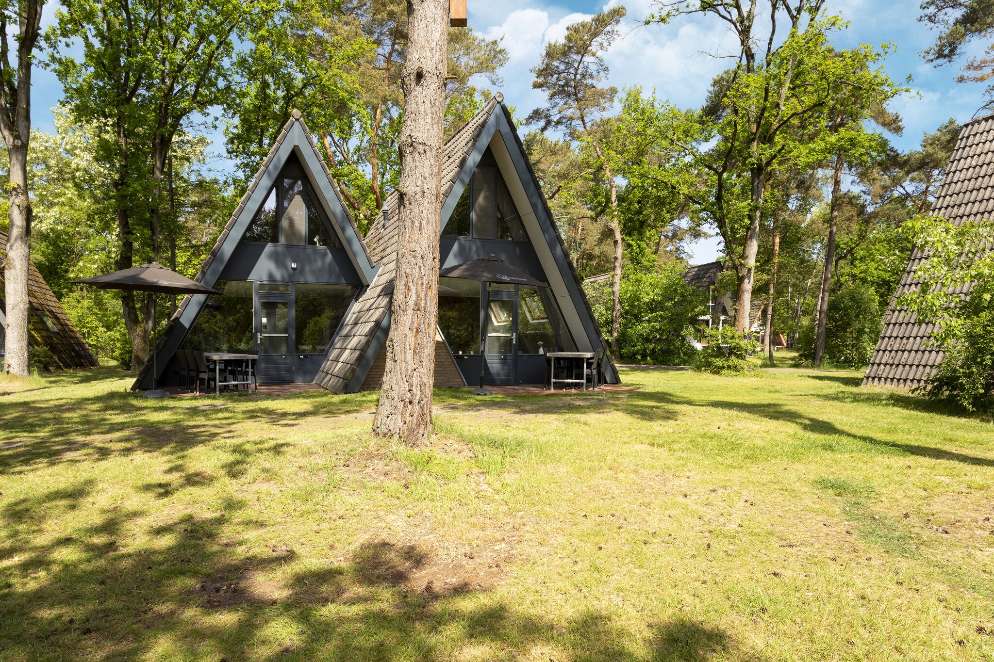 Moderne vakantiebungalow 'Moseik' in Noord-Limburg in het bos