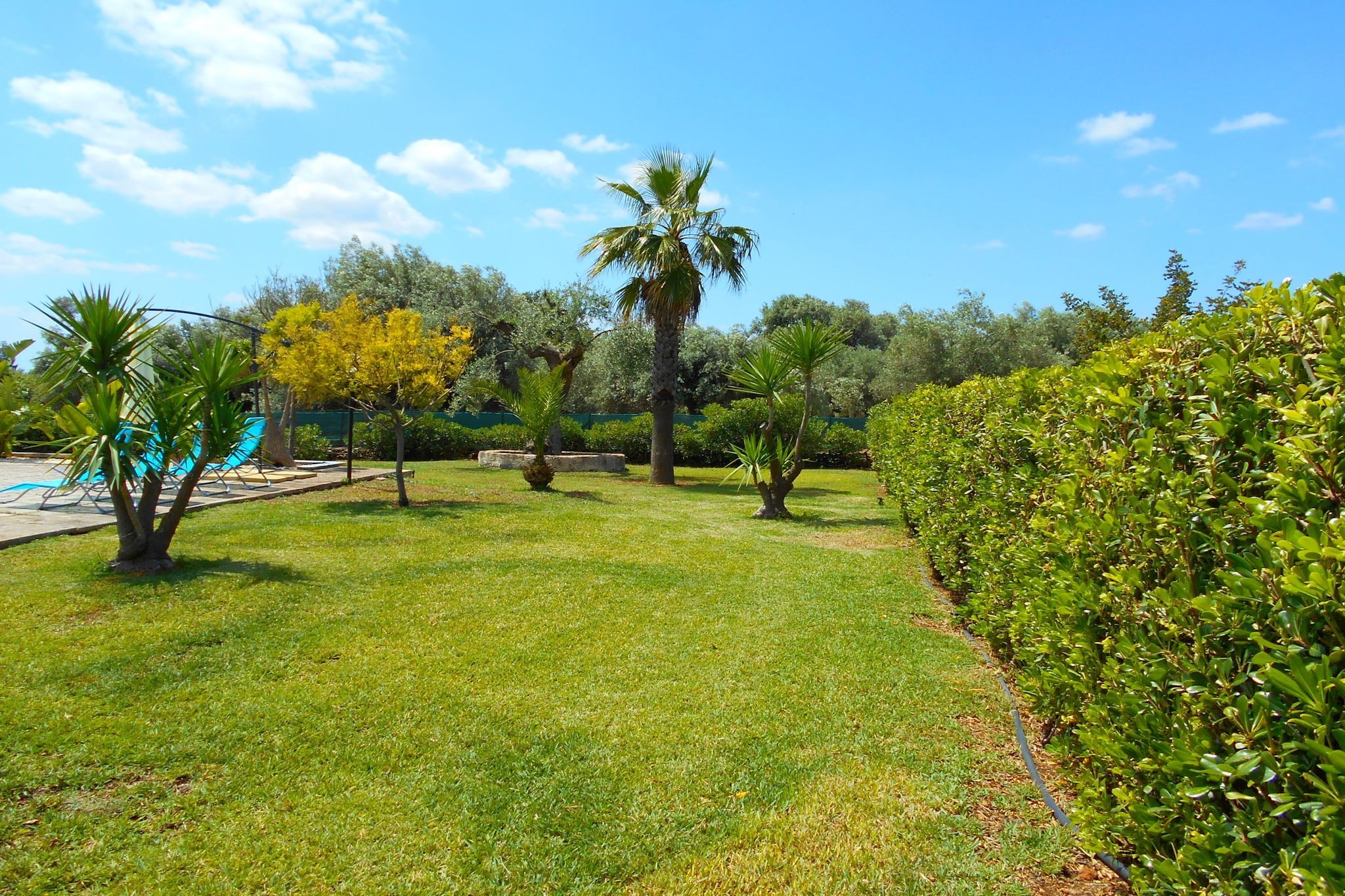 Villa Venera-Garten Sommer