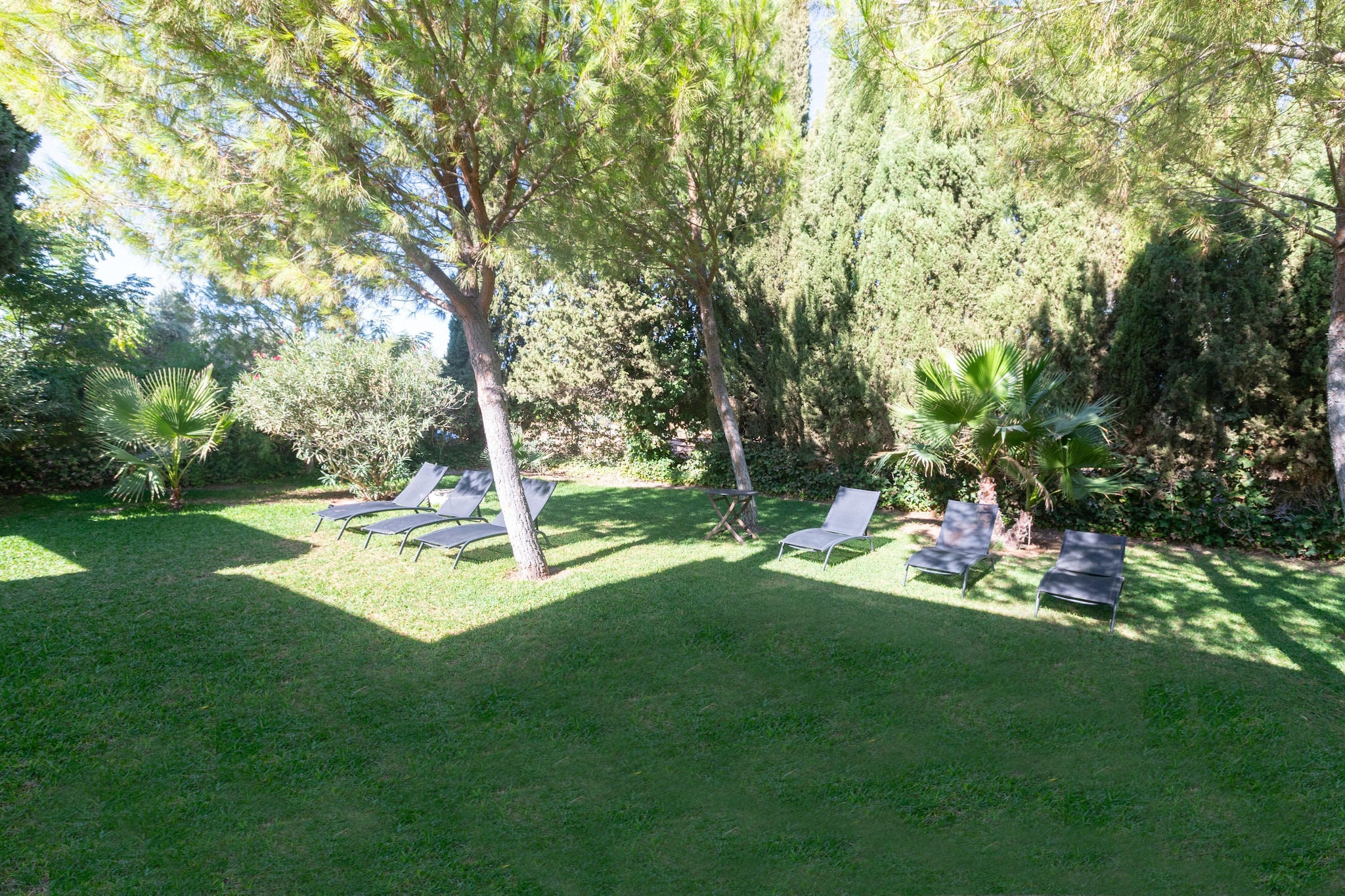 Casería San José - Jardins en été