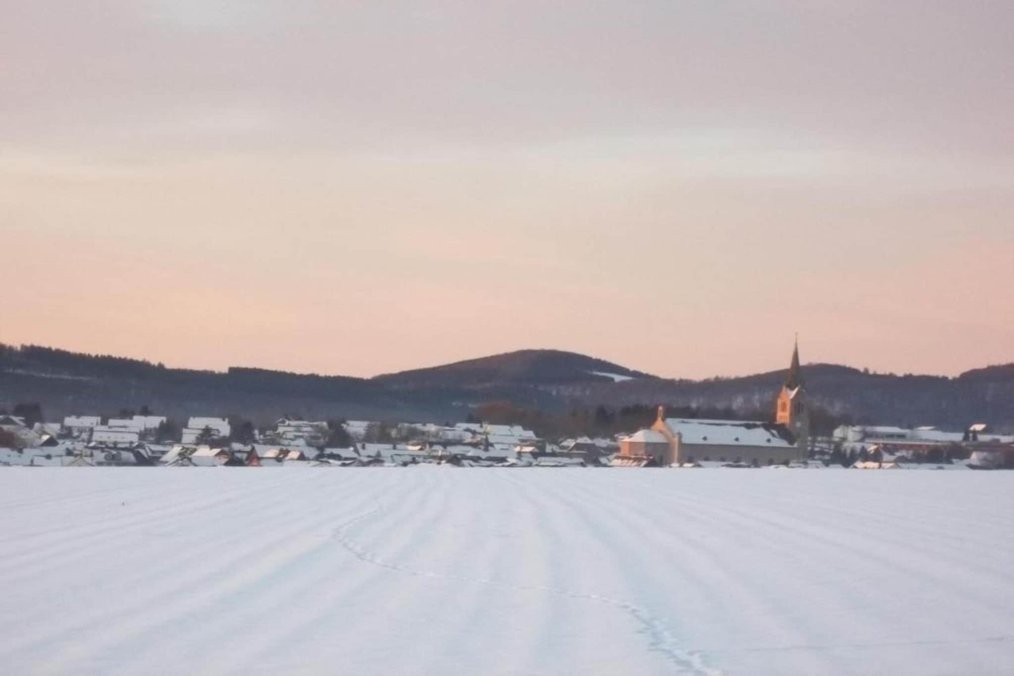 Medebach-Gebied winter 20km