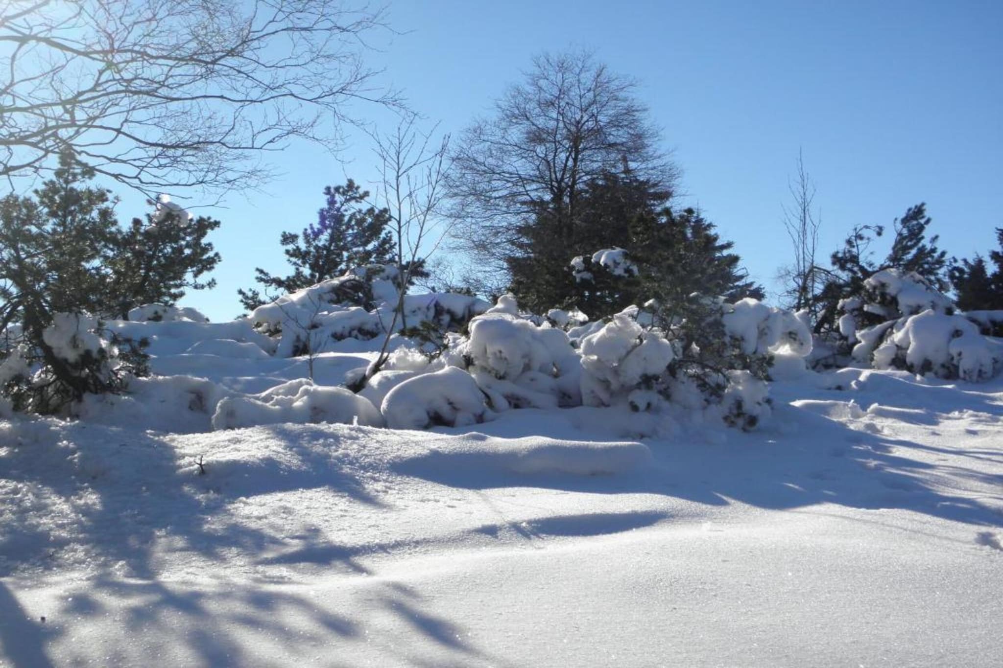 Medebach-Gebied winter 5km
