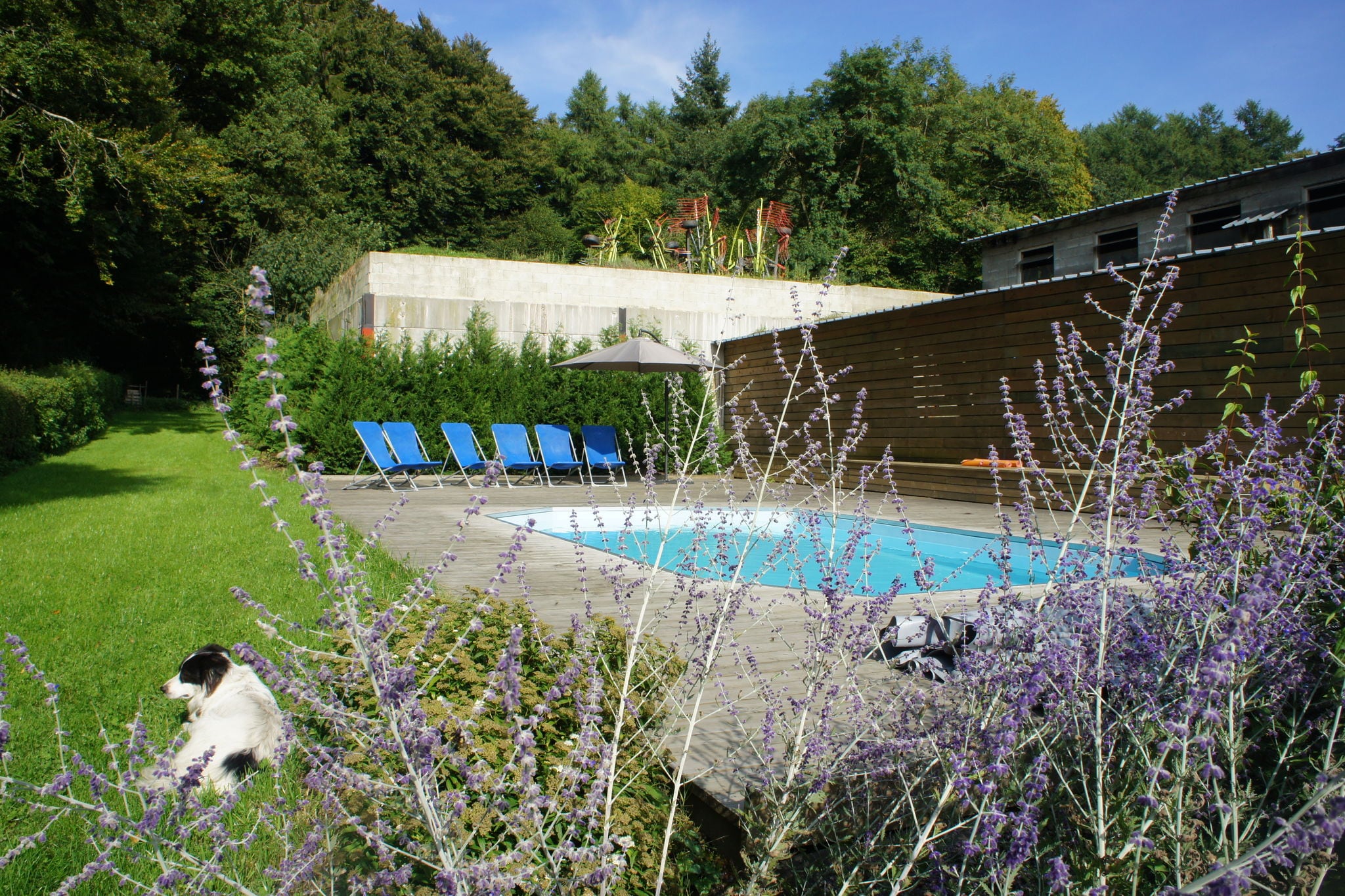 Gemütliches Ferienhaus in Neufchâteau mit Sauna und Pool