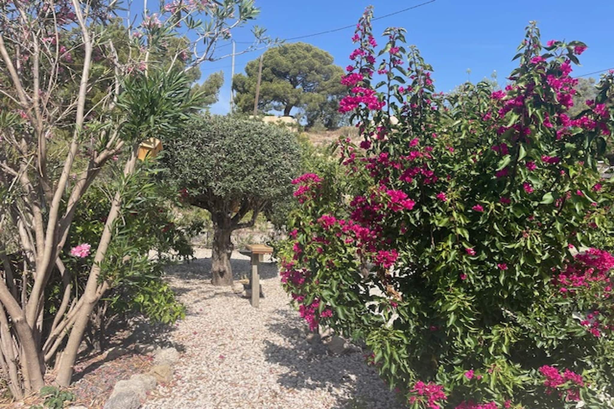 Casa Nido Cálido - Gebieden zomer 1km
