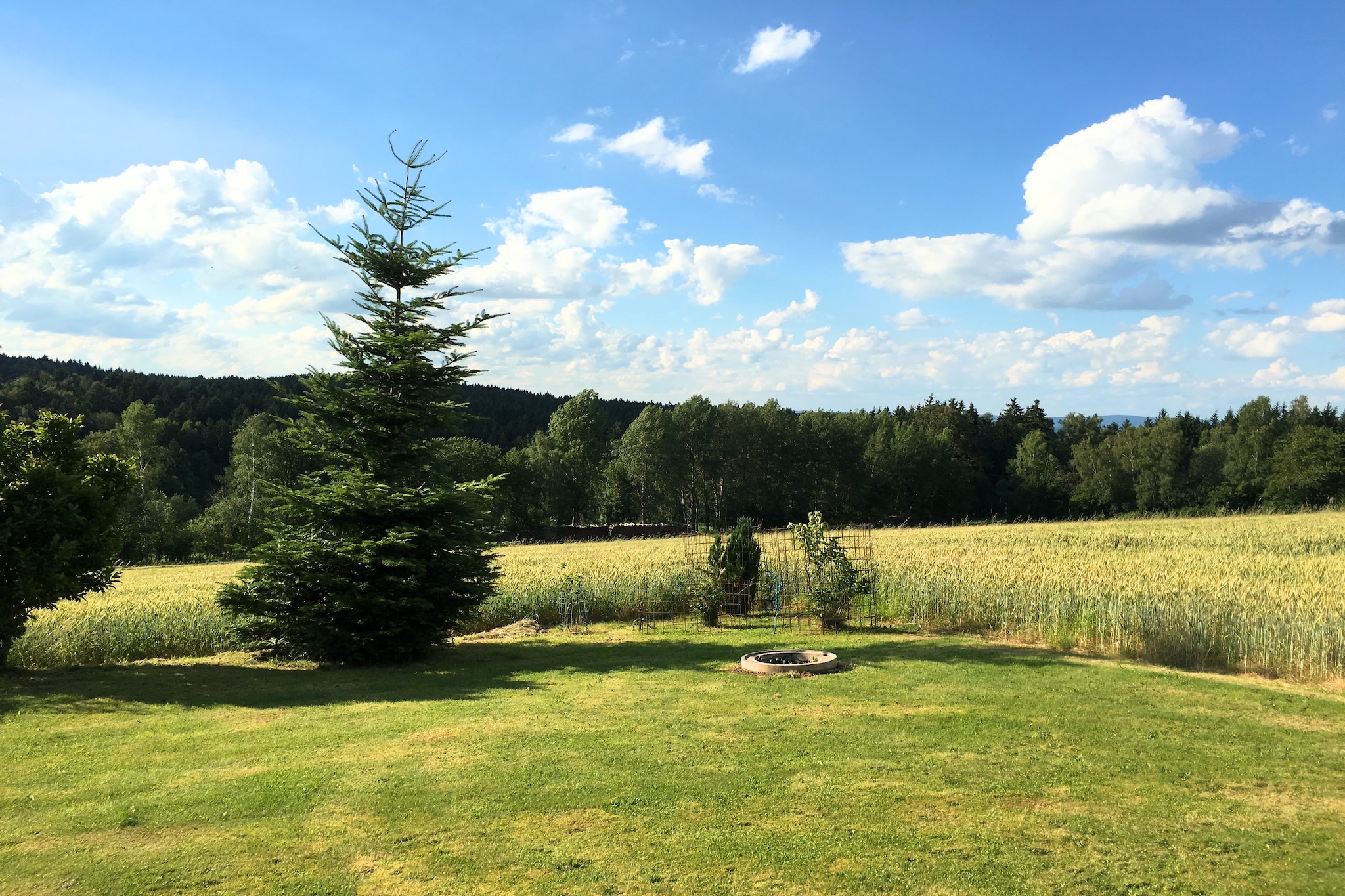 Bayern-Gardens summer