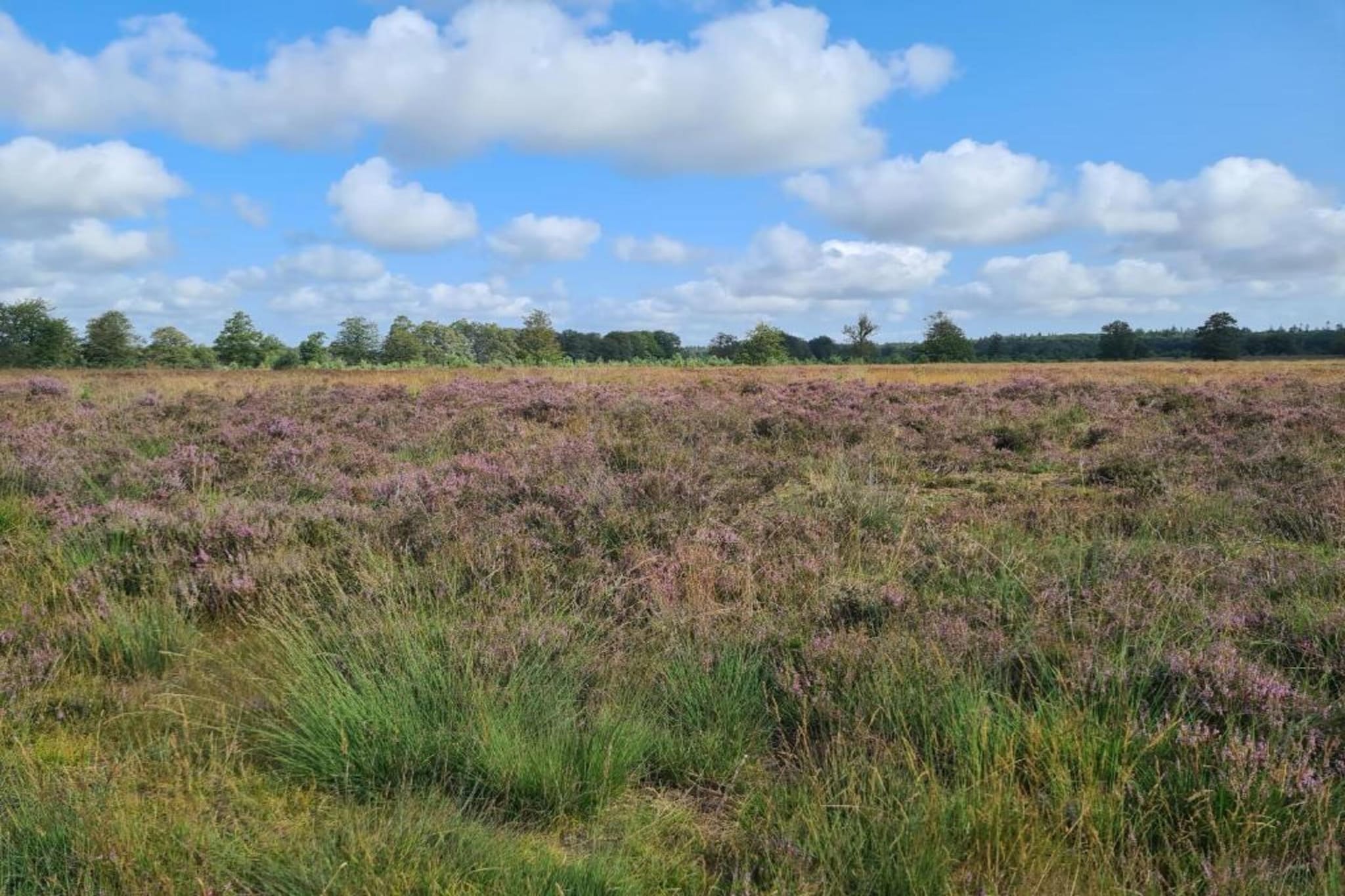 De Kibbelhoeve-Zones d'été à 20 km
