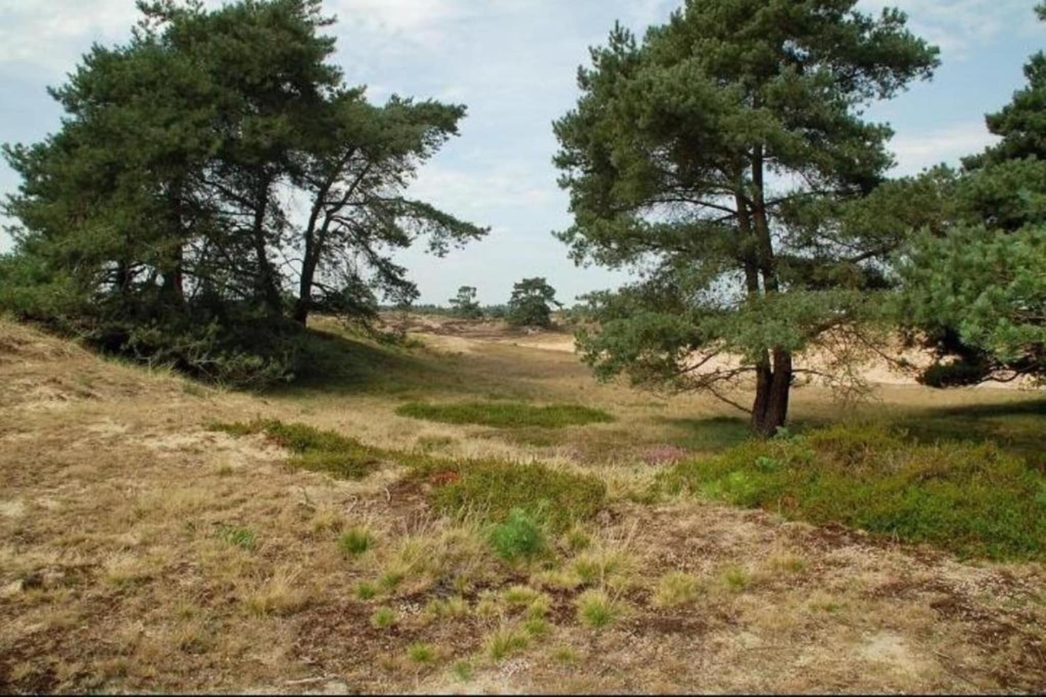 De Kibbelhoeve-Zones d'été à 20 km