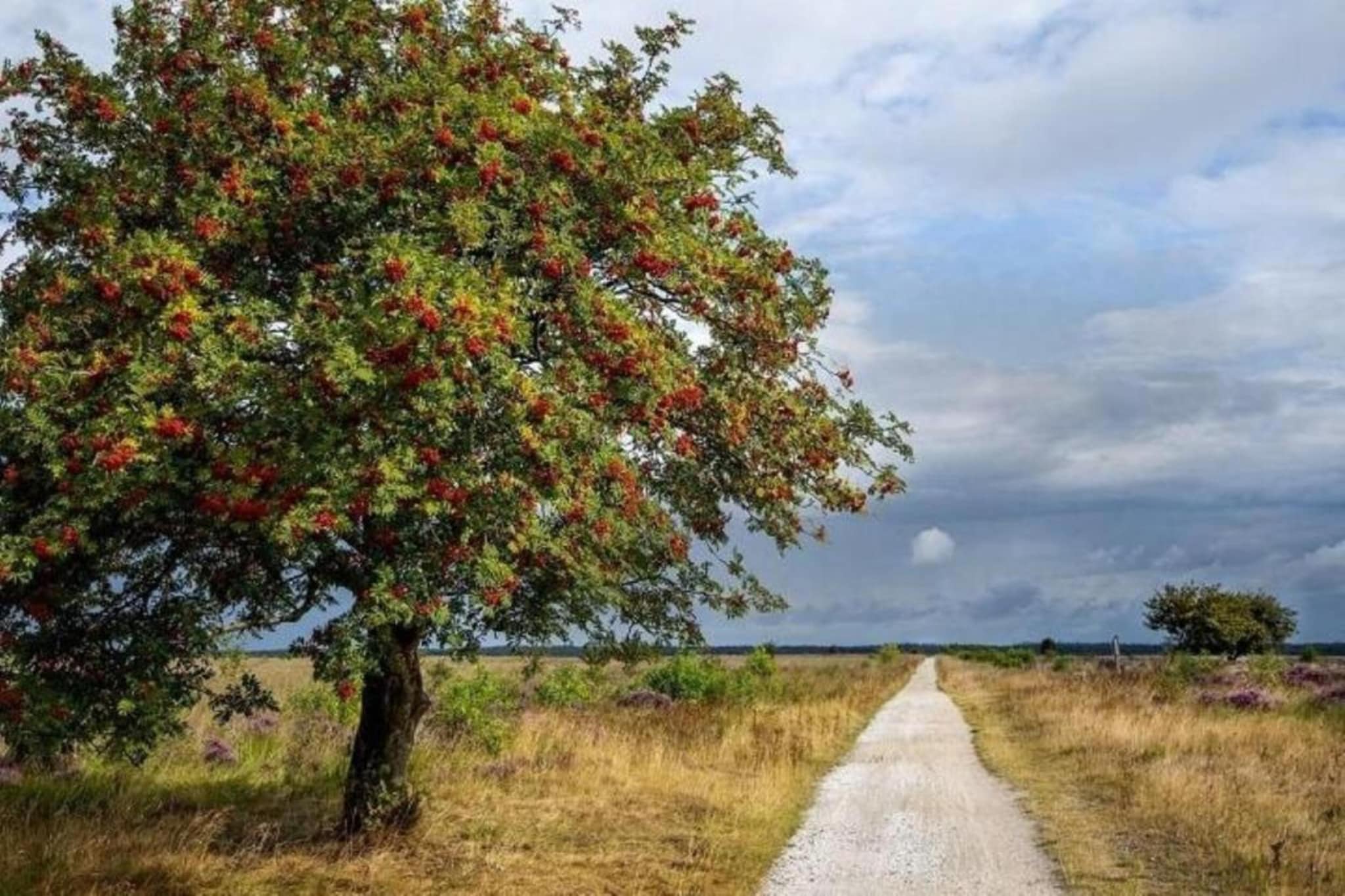 De Kibbelhoeve-Zones d'été à 20 km
