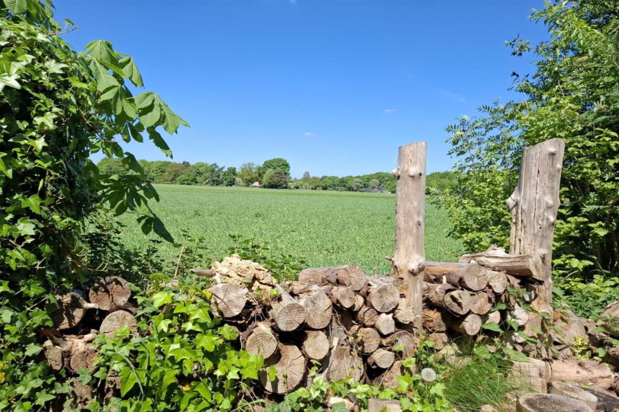 De Kibbelhoeve-Zones d'été à 20 km