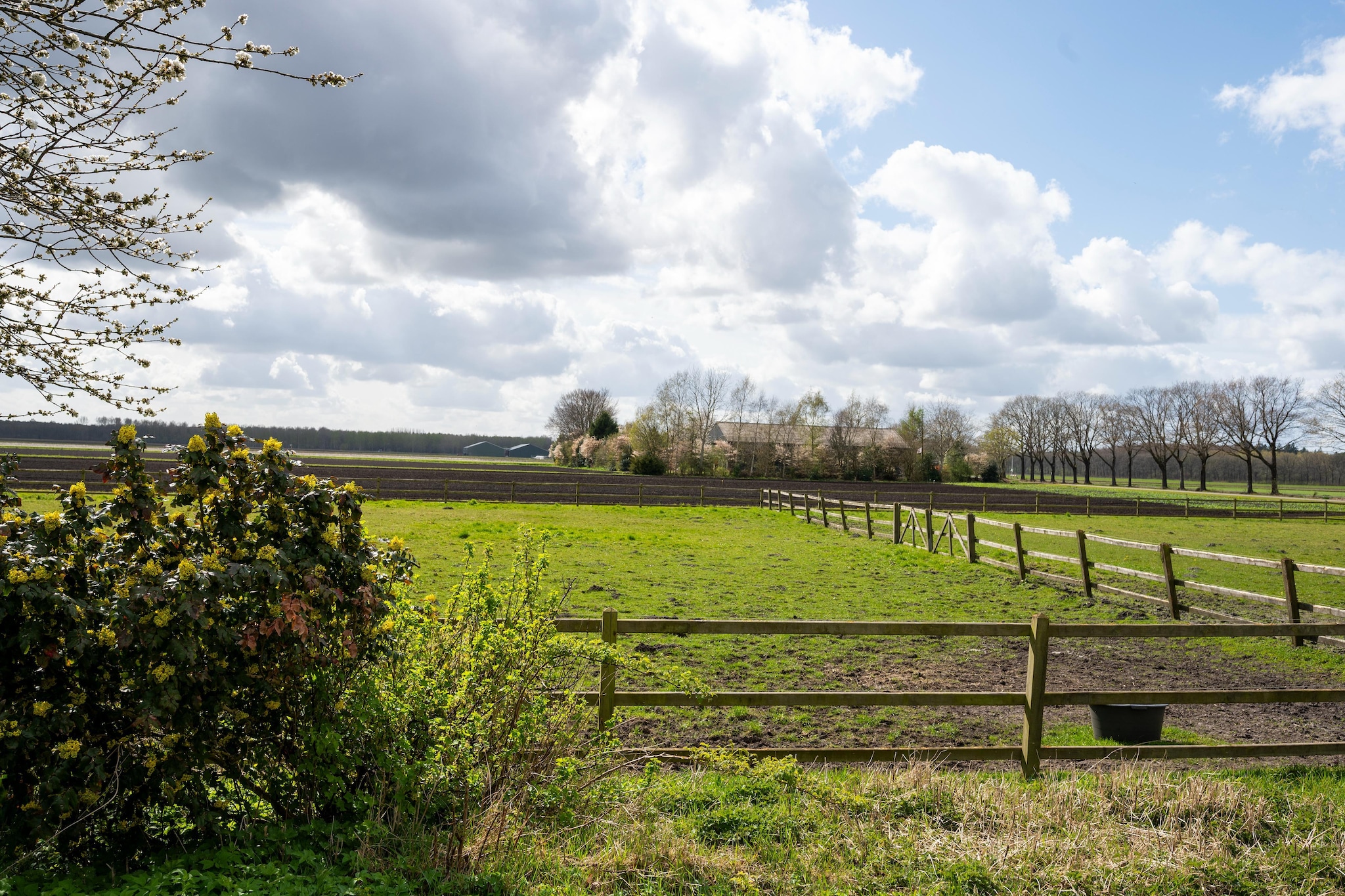 De Kibbelhoeve - Uitzicht zomer