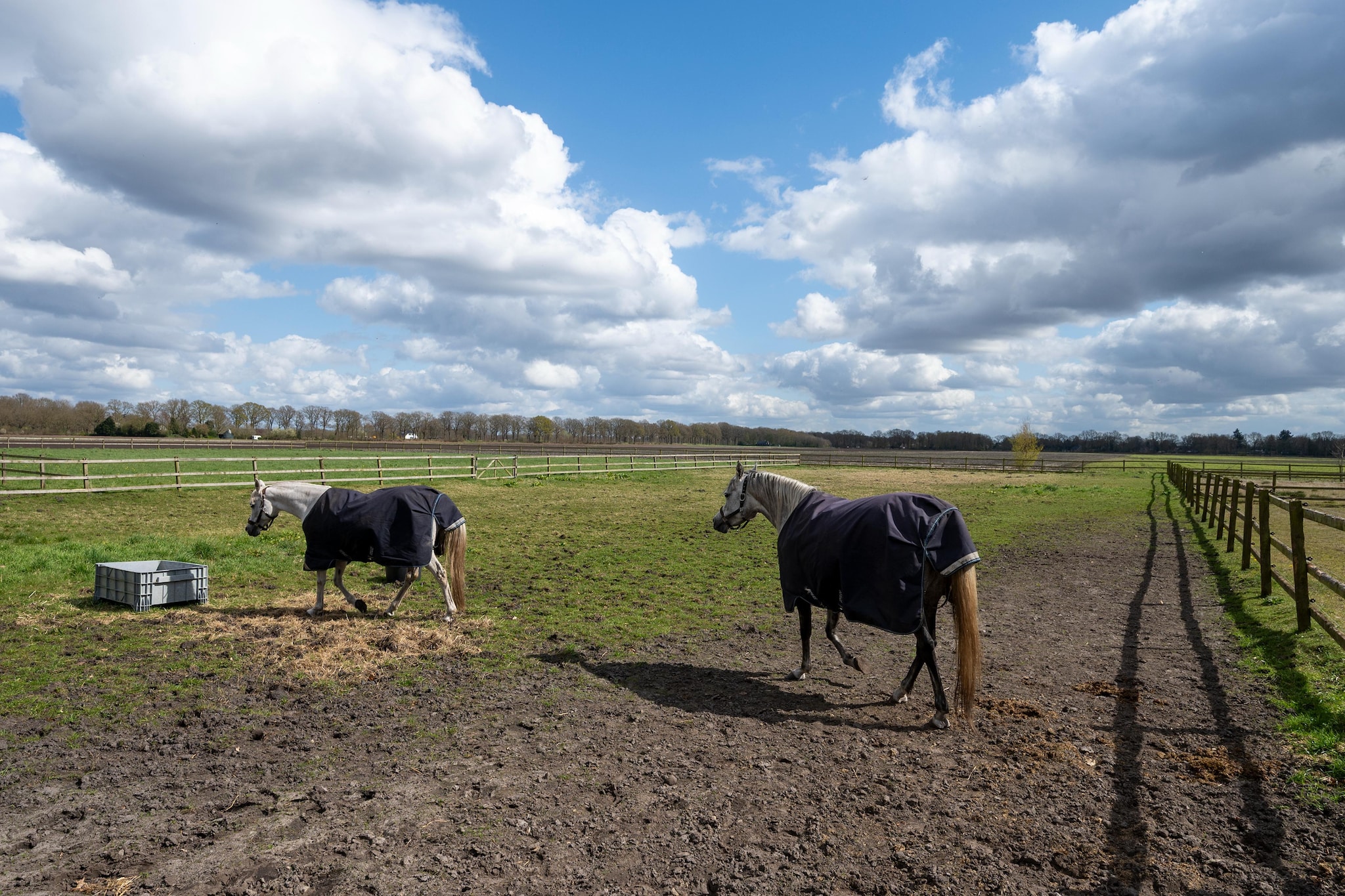 De Kibbelhoeve - Tuinen zomer