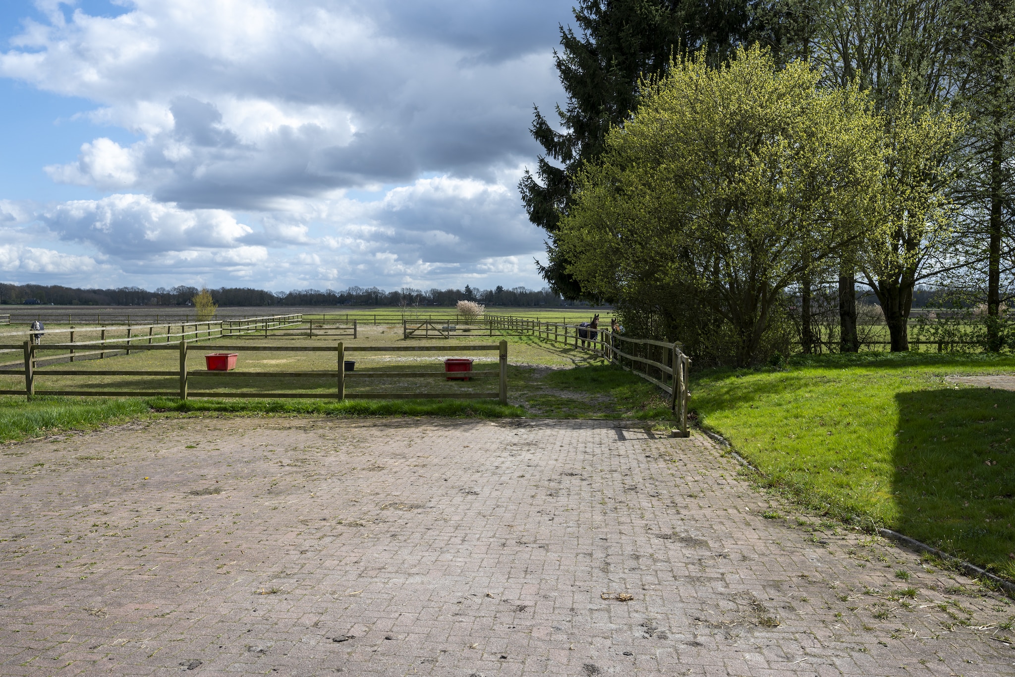 De Kibbelhoeve - Uitzicht zomer