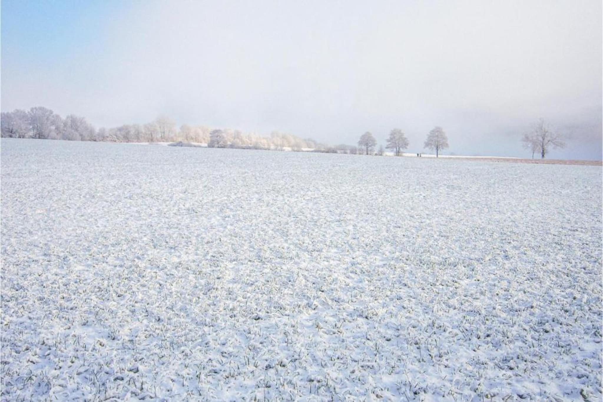 Densberg-Gebied winter 20km