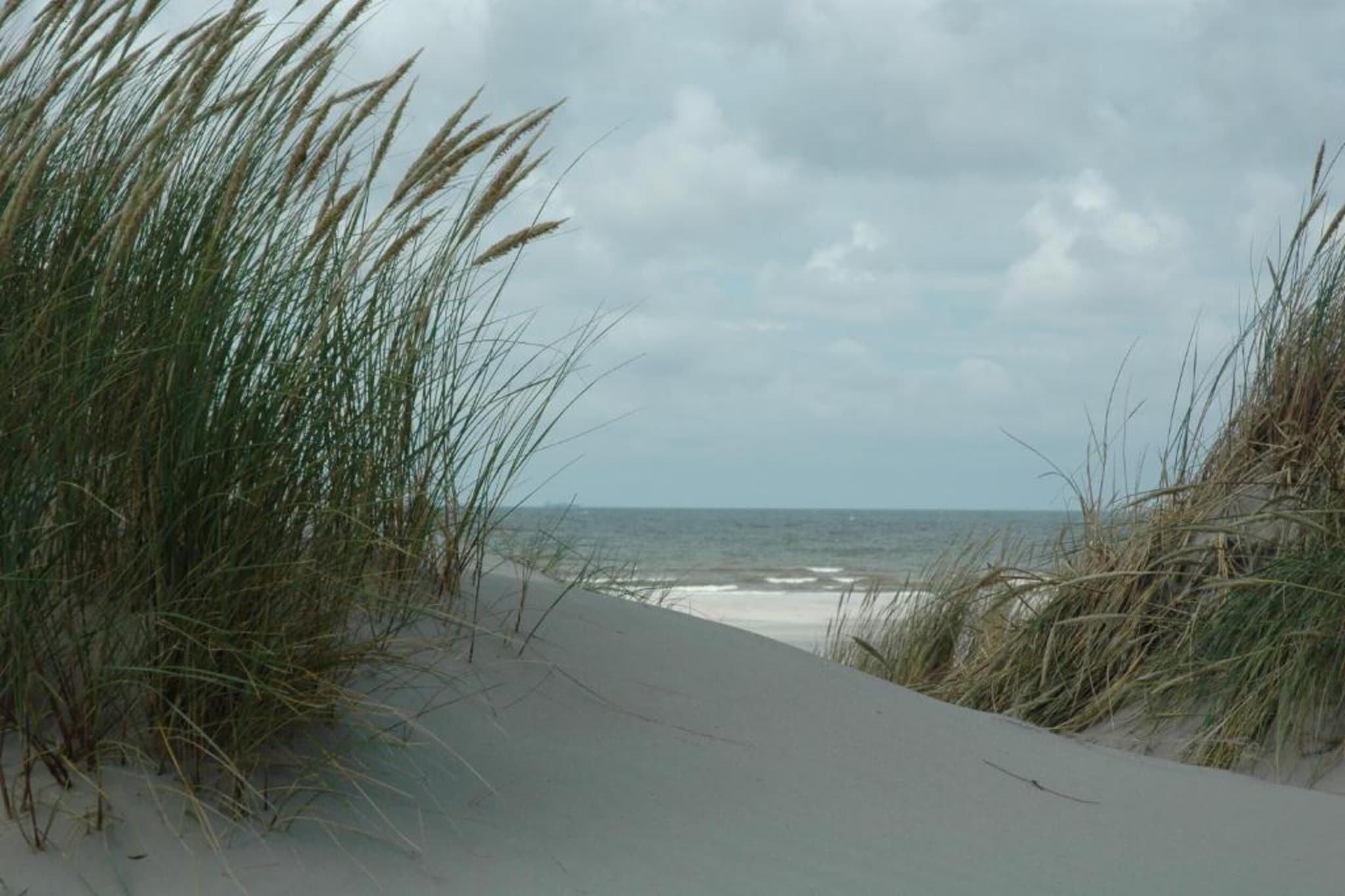 Duindroom op Terschelling-Gebiete Sommer 20 km