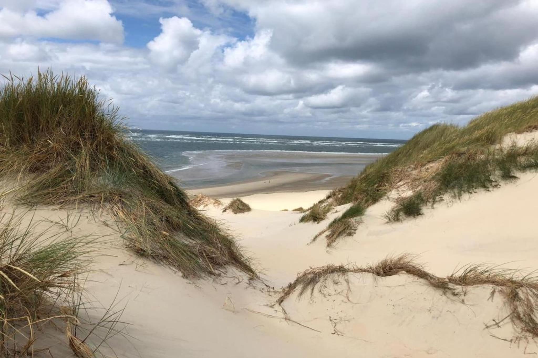 Duindroom op Terschelling-Gebiete Sommer 20 km