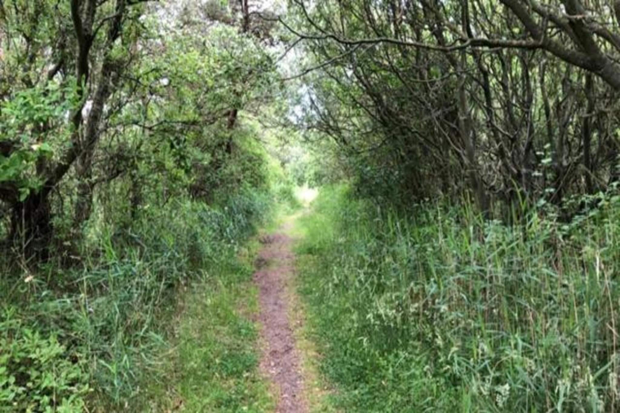 Duindroom op Terschelling-Gebiete Sommer 20 km