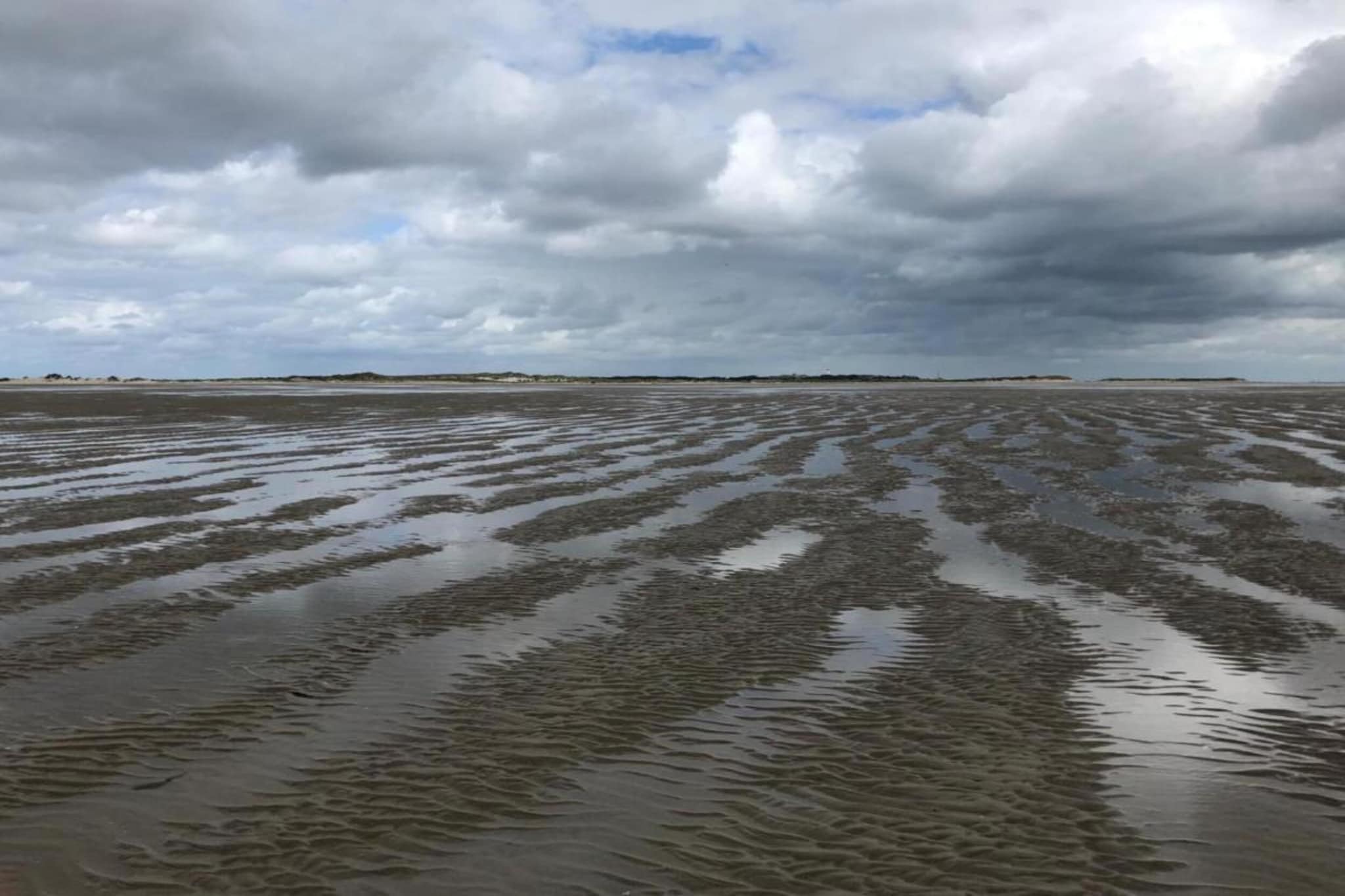 Duindroom op Terschelling-Gebiete Sommer 20 km
