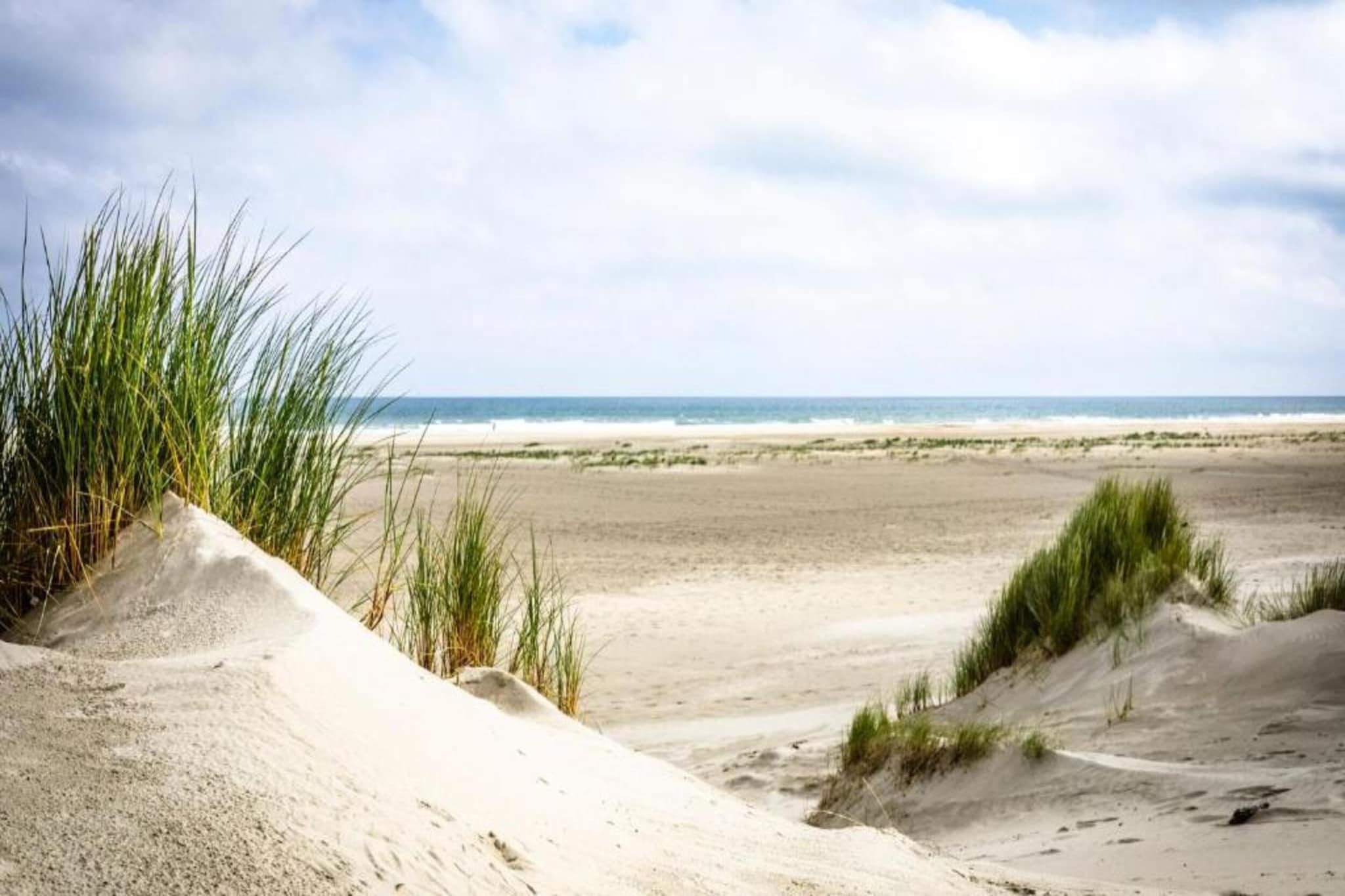 Duindroom op Terschelling-Gebiete Sommer 20 km