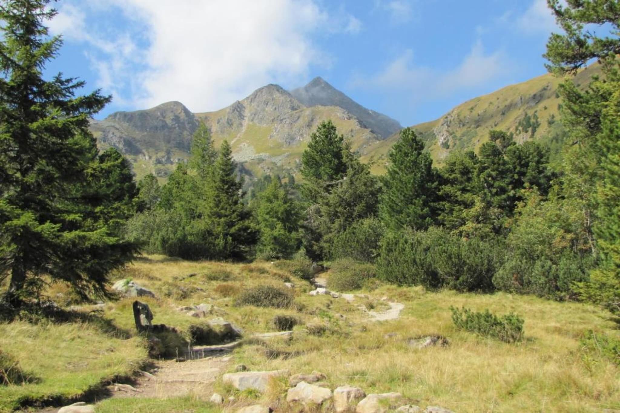 Chalet Zuckerhütl-Areas summer 20km
