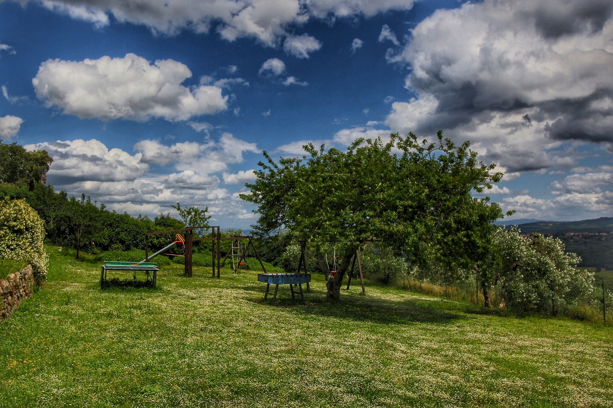 Garden Summer