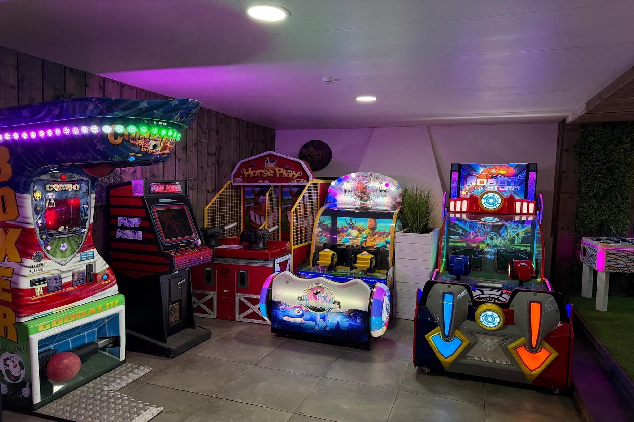 La Maison des Fleurs-Freizeitraum