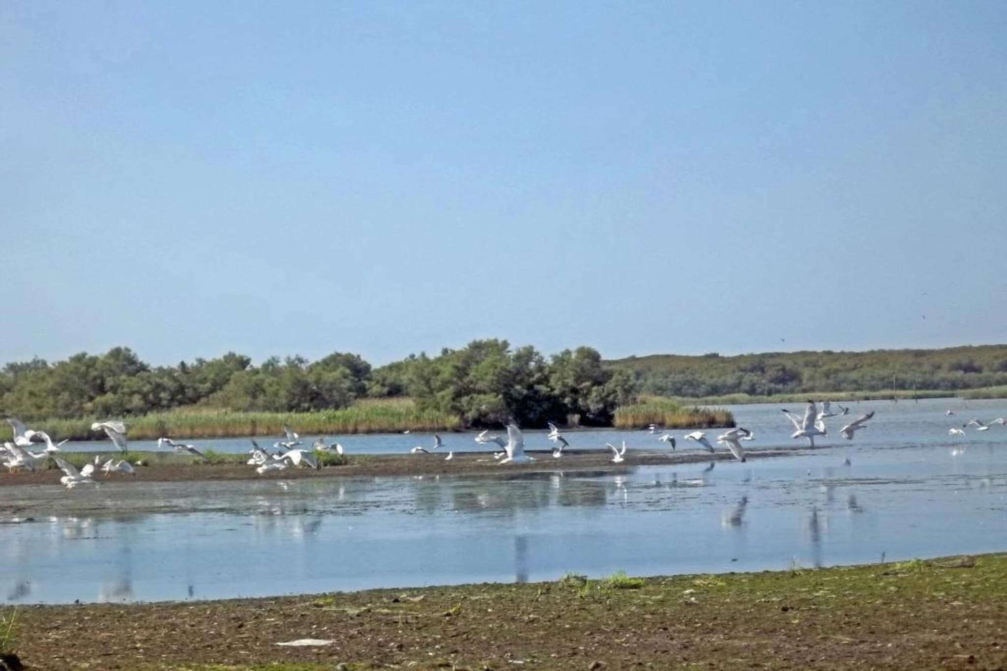 Oasi Bianca-Areas summer 20km