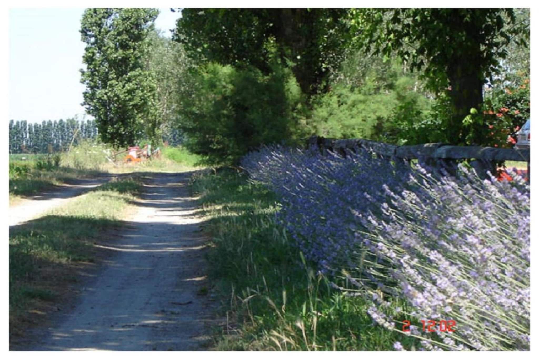 Oasi Bianca-Areas summer 20km
