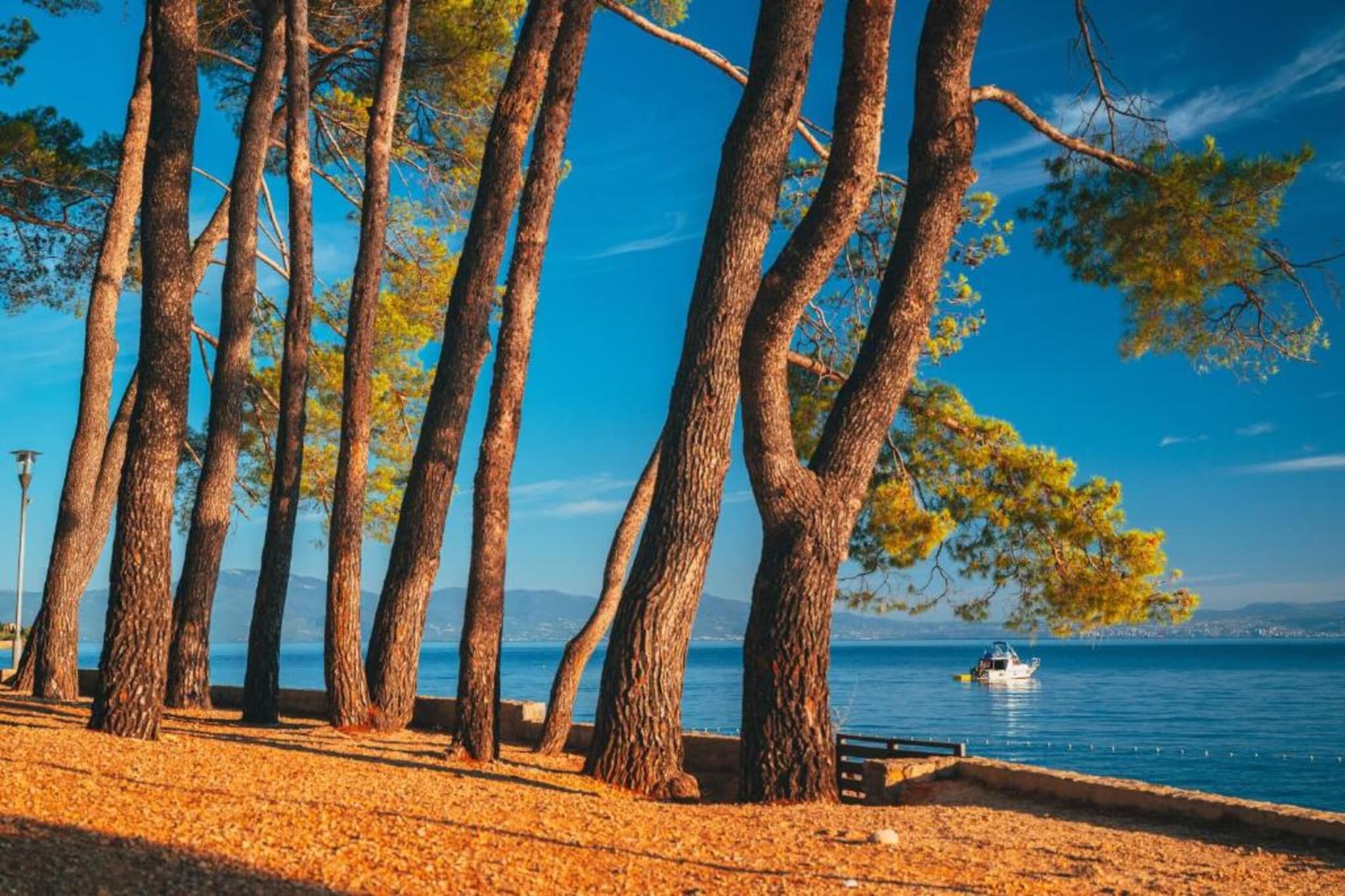 Vicenca-Areas summer 5km