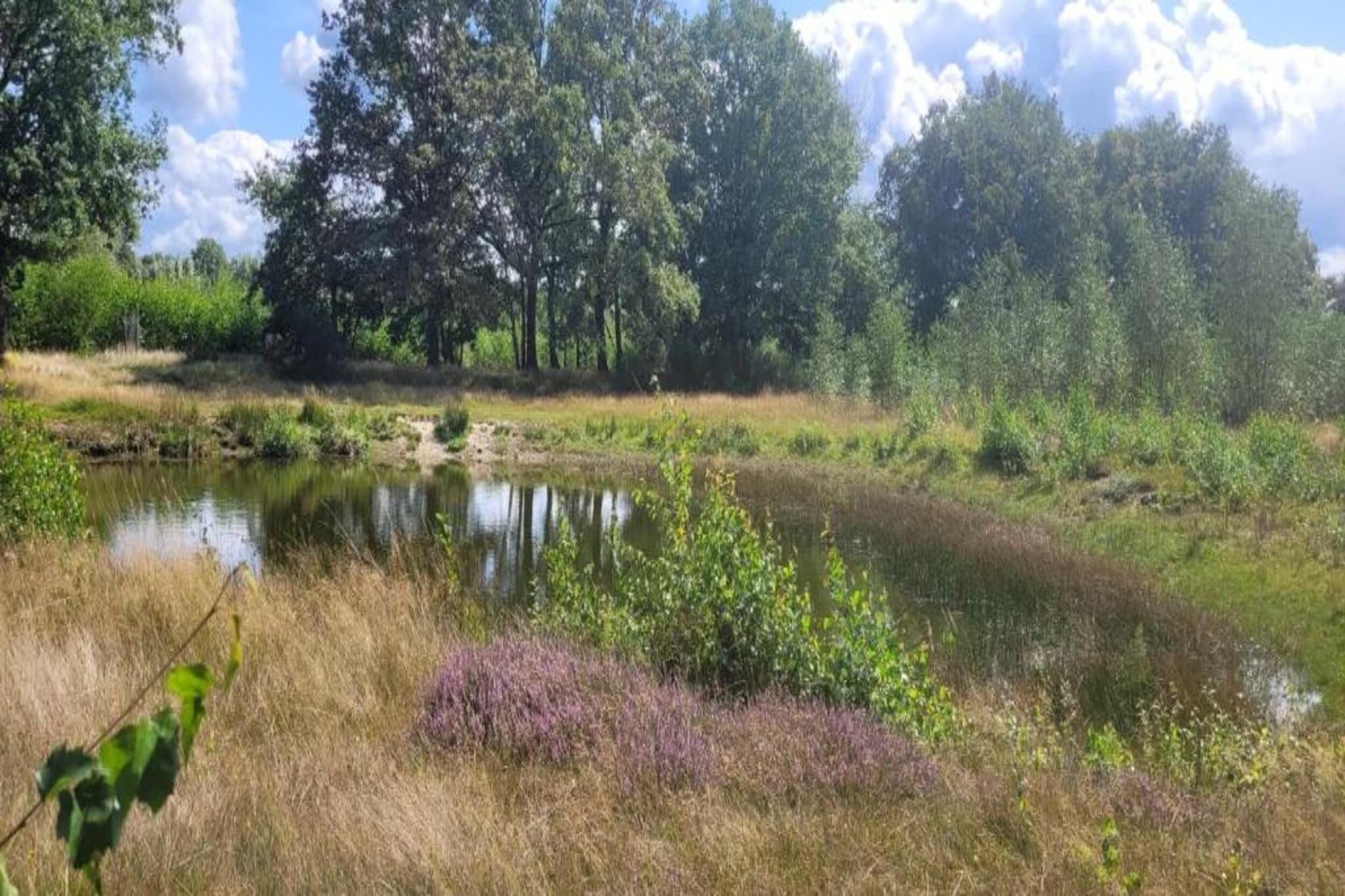 Vakantiepark Sandberghe 3-Gebieden zomer 20km