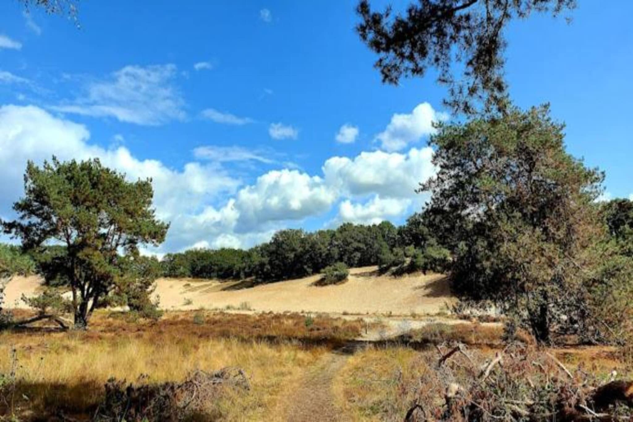 Vakantiepark Sandberghe 3-Gebieden zomer 20km